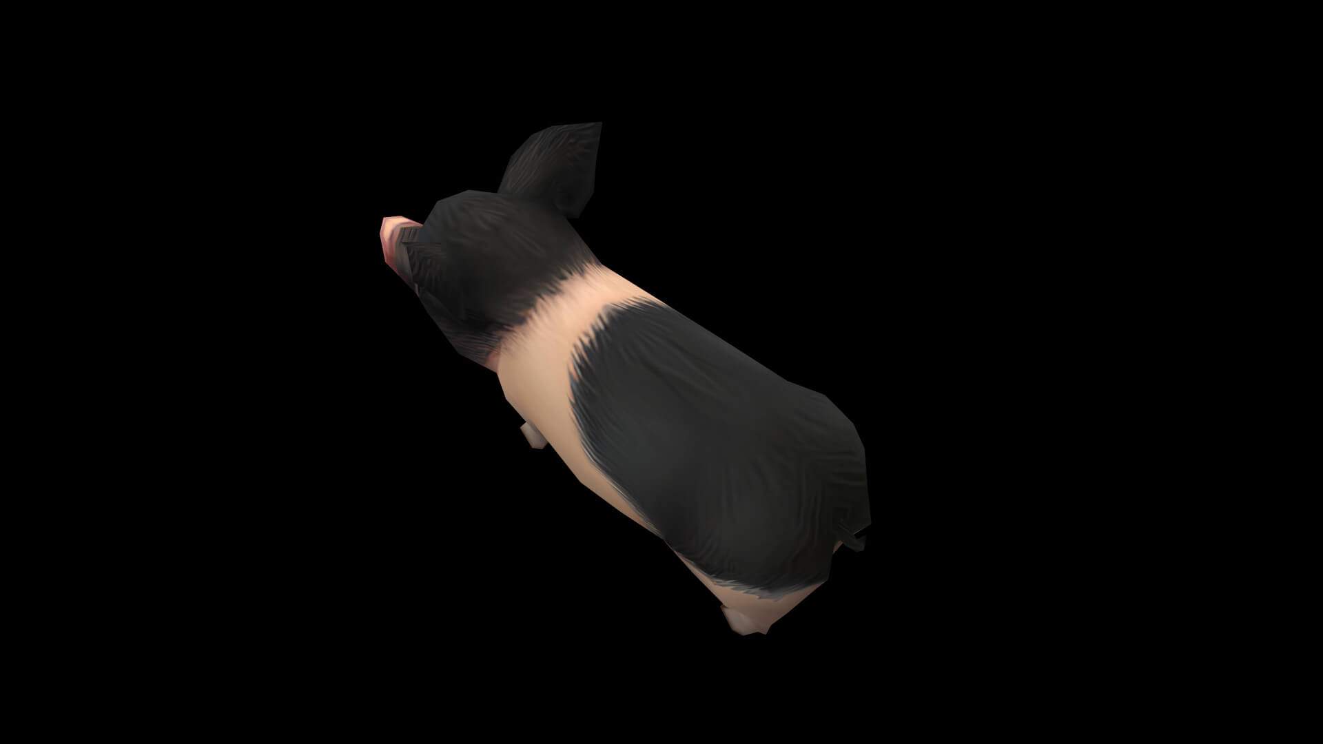 Pig Pet Pig Swine Hog Hoggery 3D Model