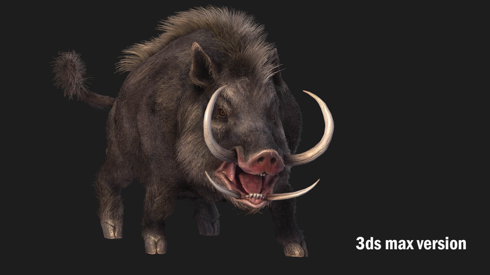 Boar Pig Beast 3D Model