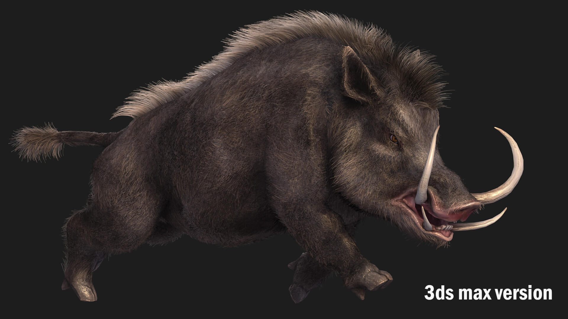 Boar Pig Beast 3D Model