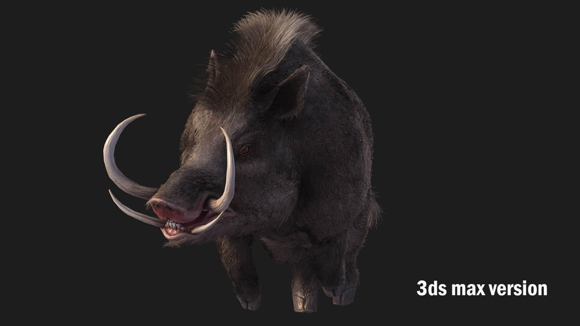 Boar Pig Beast 3D Model