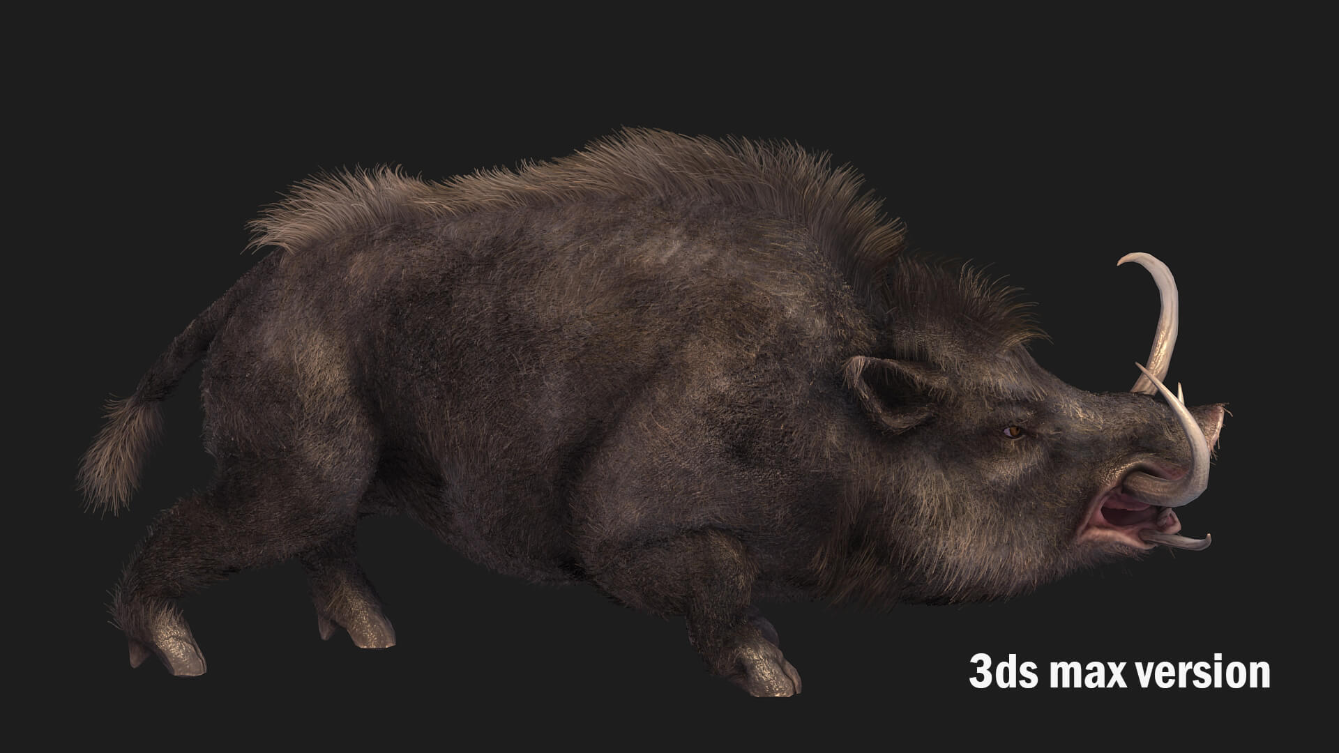 Boar Pig Beast 3D Model
