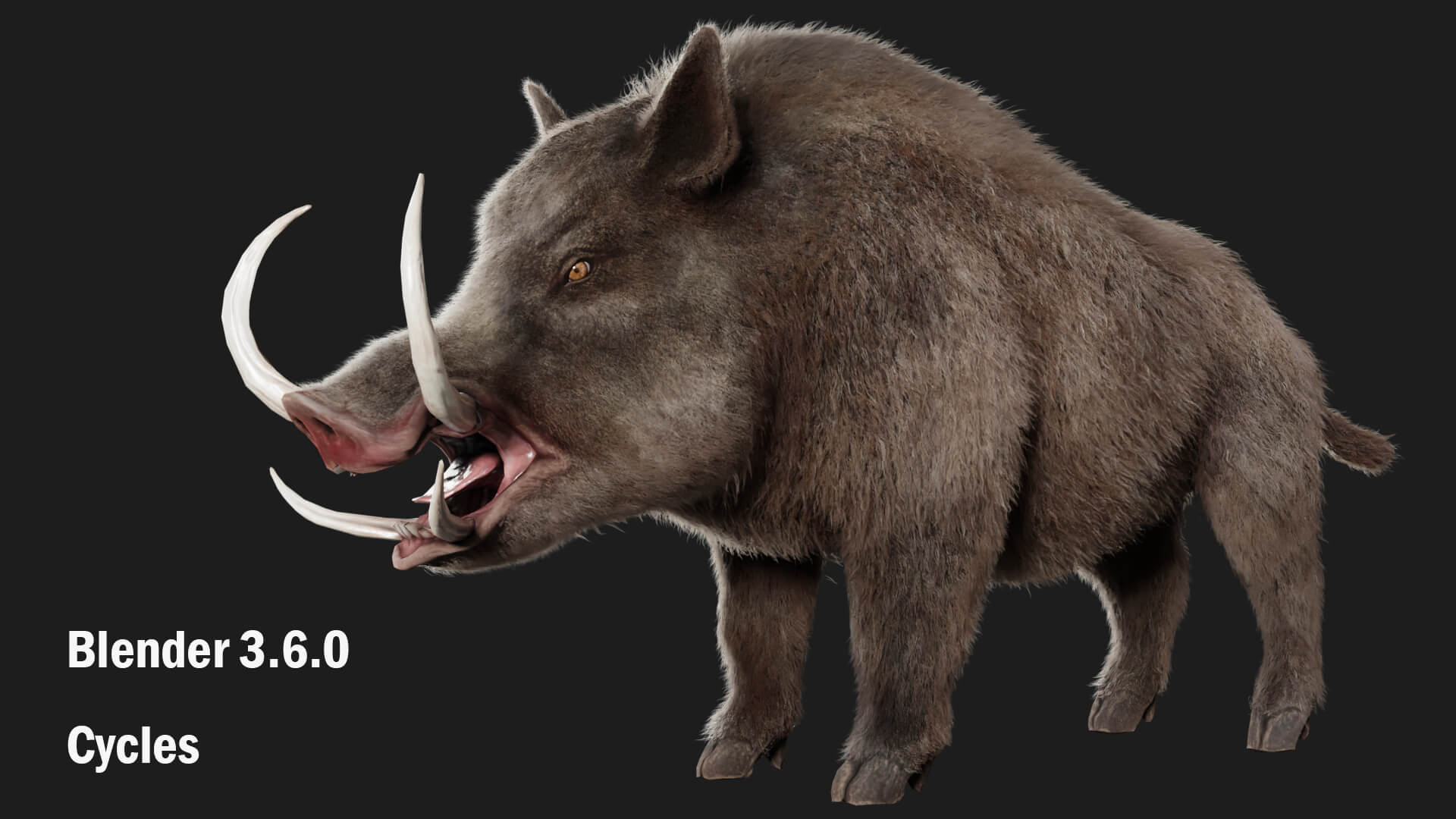 Boar Pig Beast 3D Model