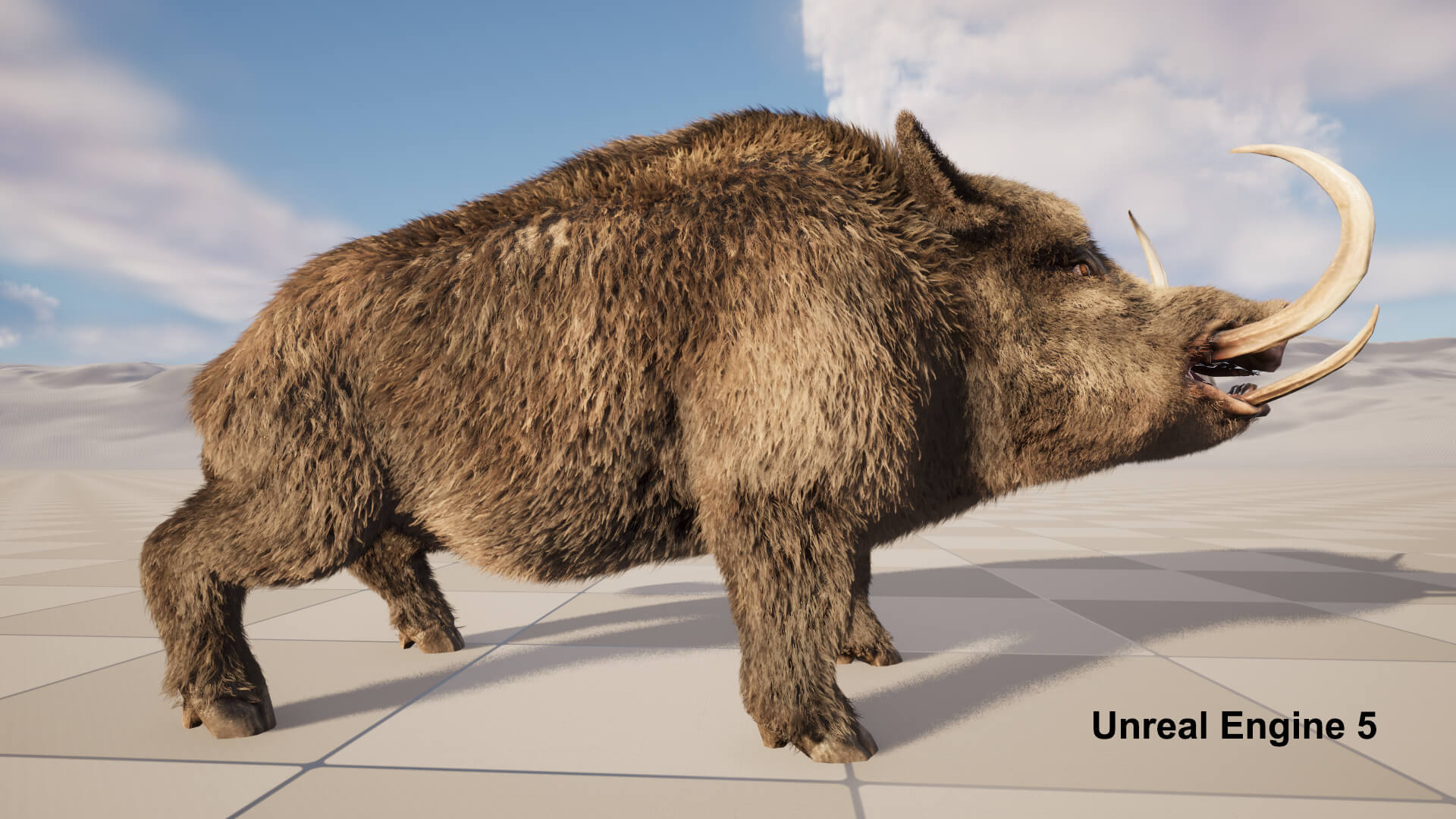 Boar Pig Beast 3D Model