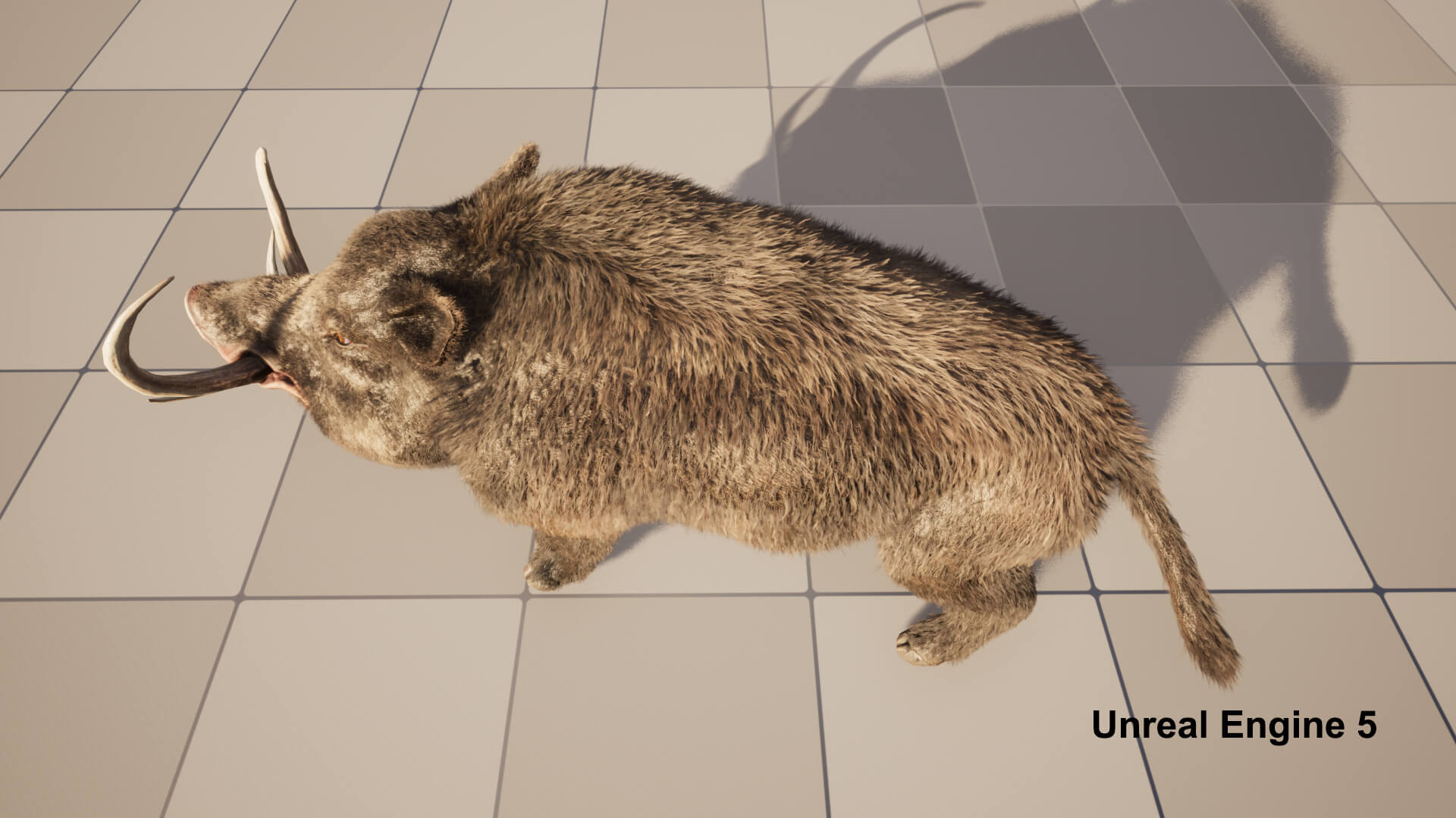 Boar Pig Beast 3D Model
