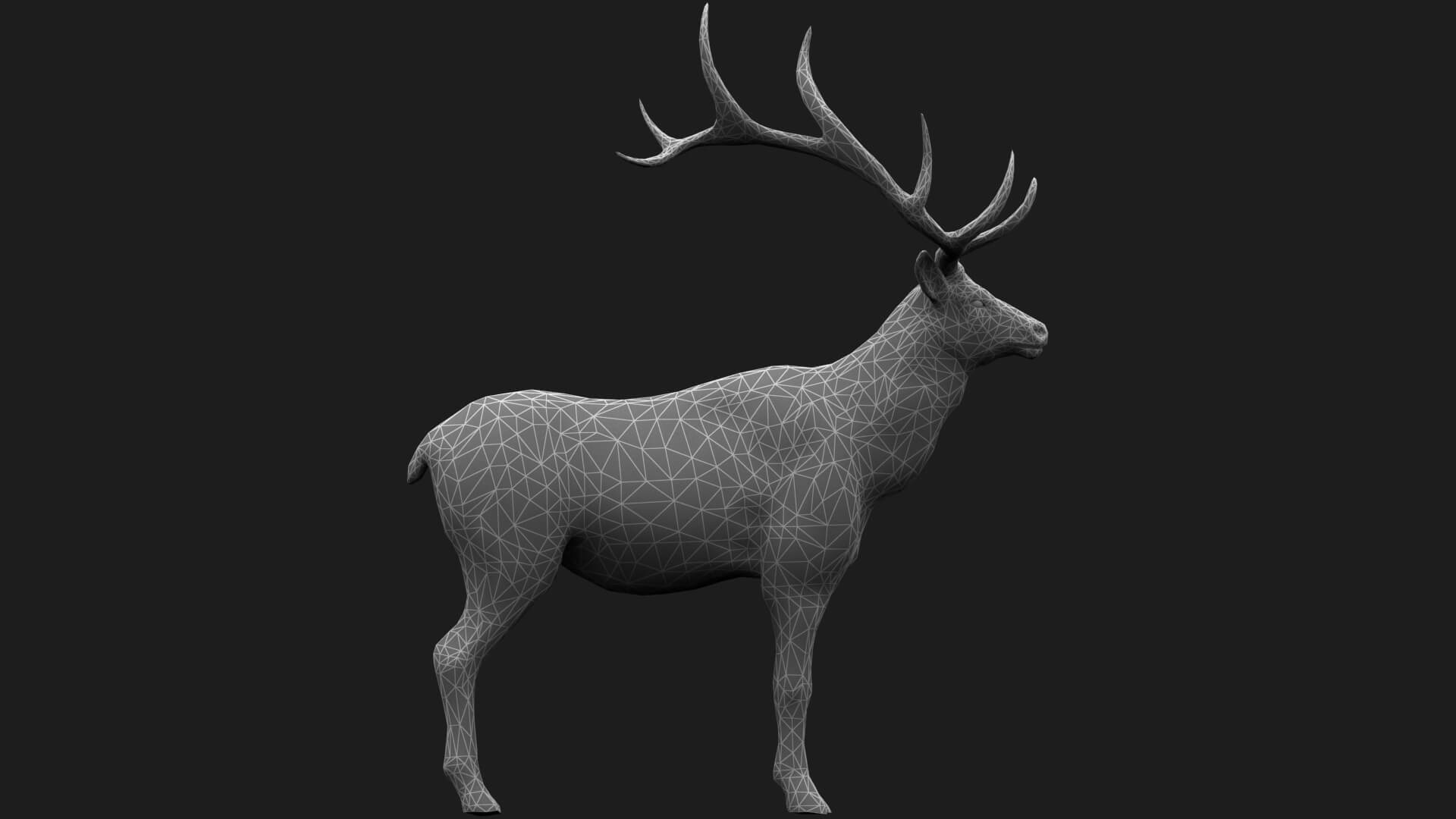Elaphurus Deer Buck Stag Reindeer Doe 3D Model