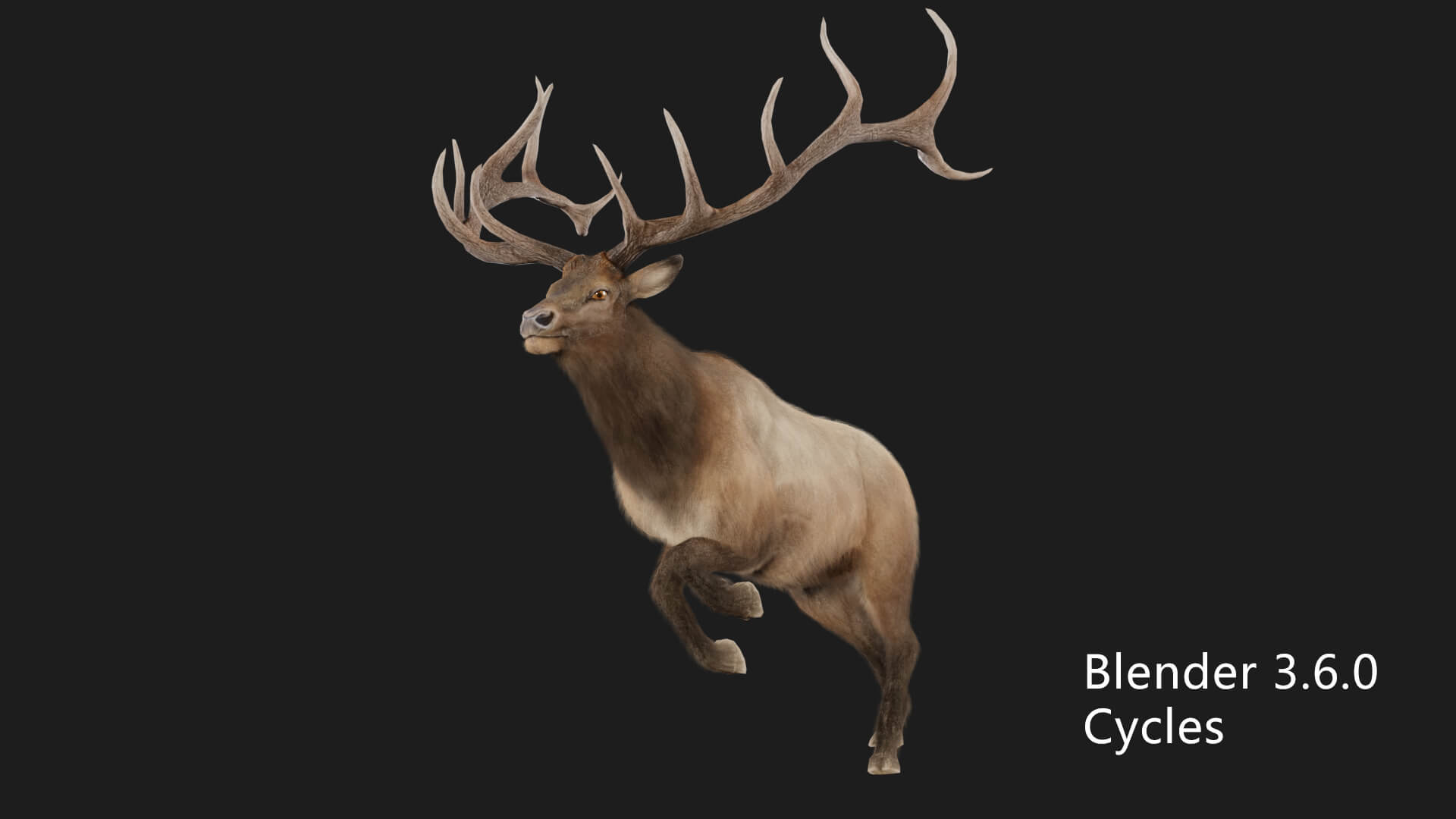 Elaphurus Deer Buck Stag Reindeer Doe 3D Model