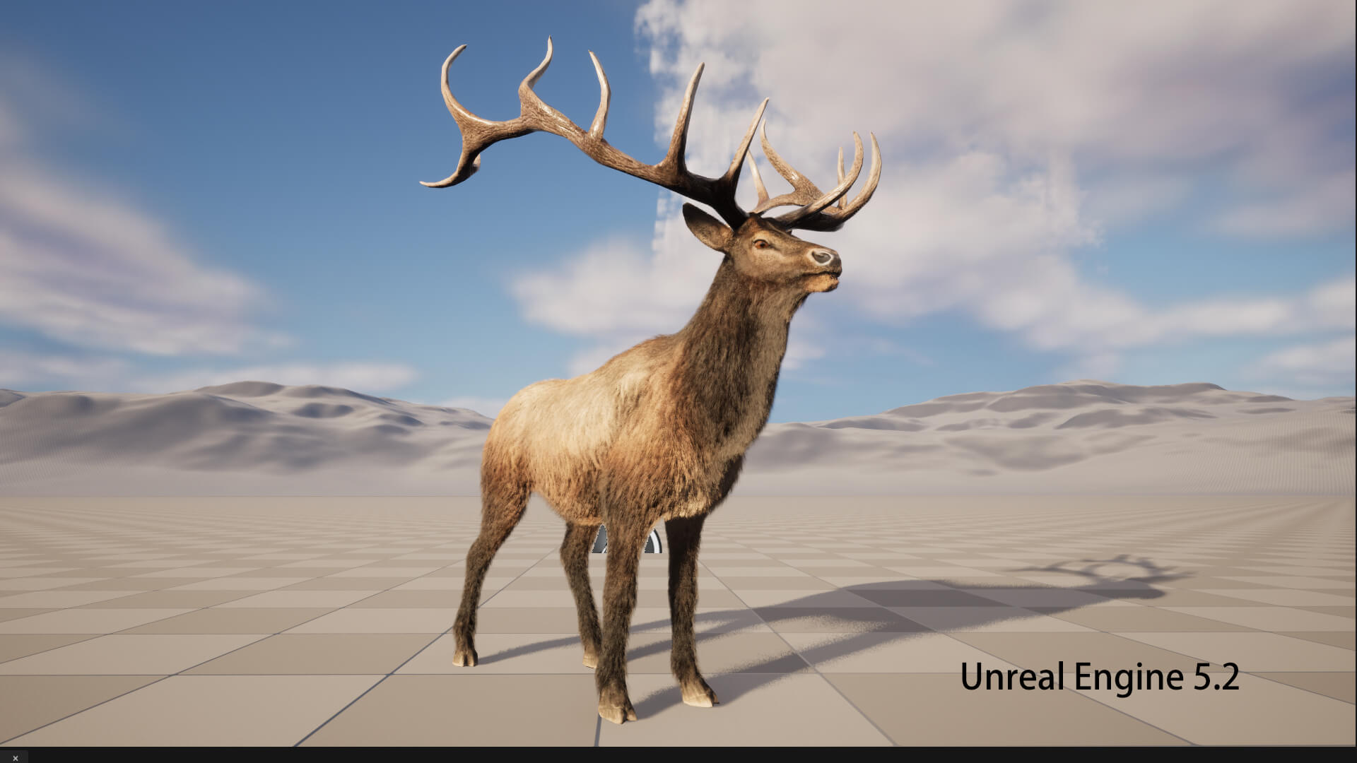Elaphurus Deer Buck Stag Reindeer Doe 3D Model