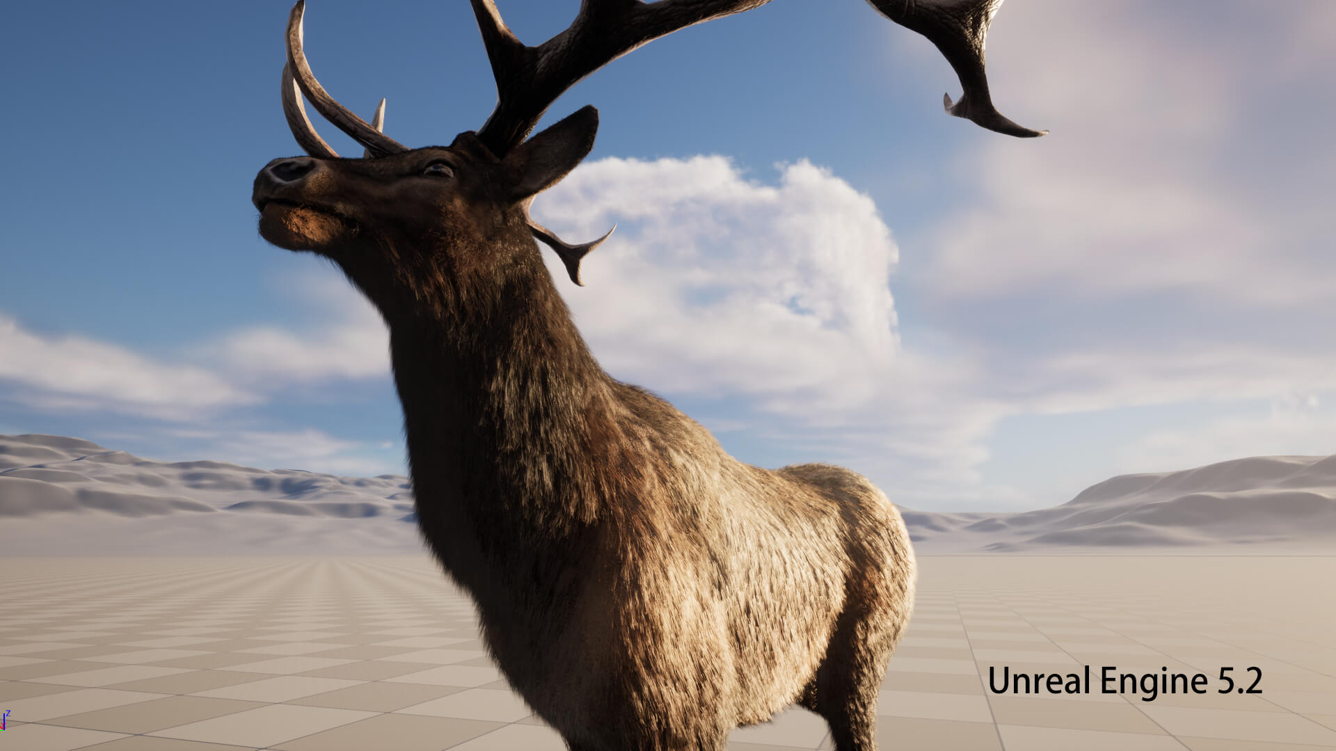 Elaphurus Deer Buck Stag Reindeer Doe 3D Model