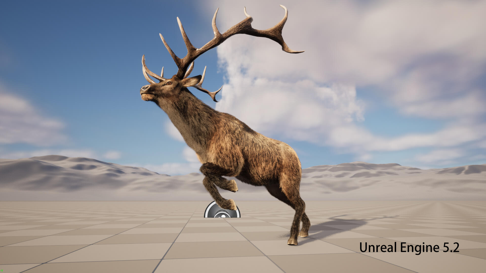 Elaphurus Deer Buck Stag Reindeer Doe 3D Model