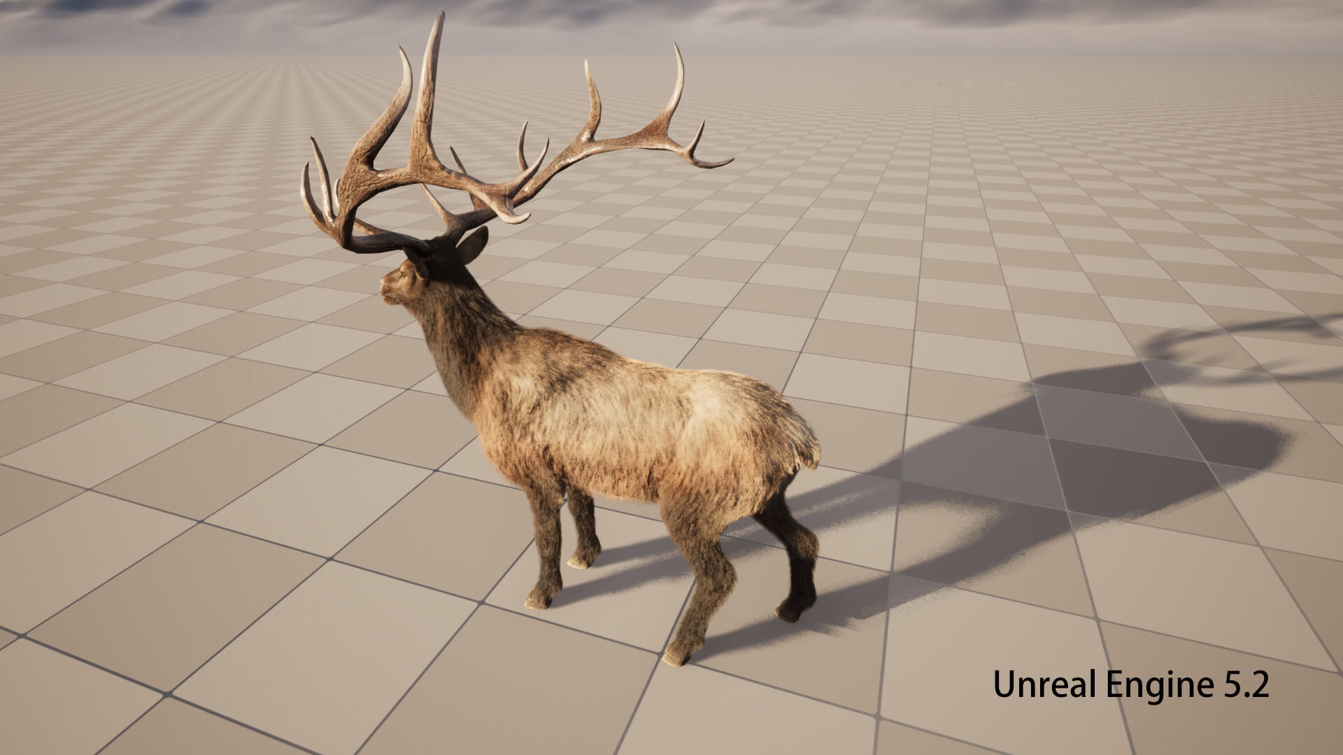 Elaphurus Deer Buck Stag Reindeer Doe 3D Model