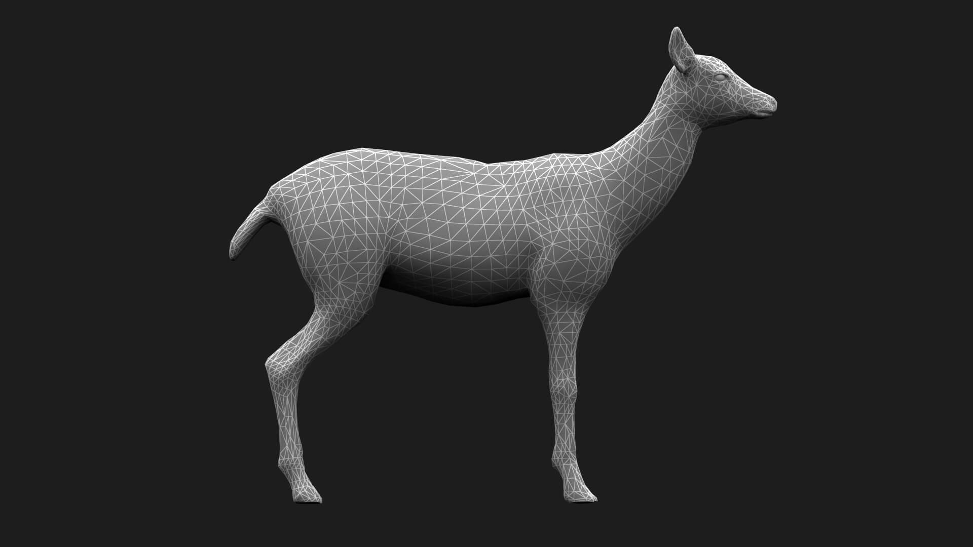 Hair Effect Deer 3D Model
