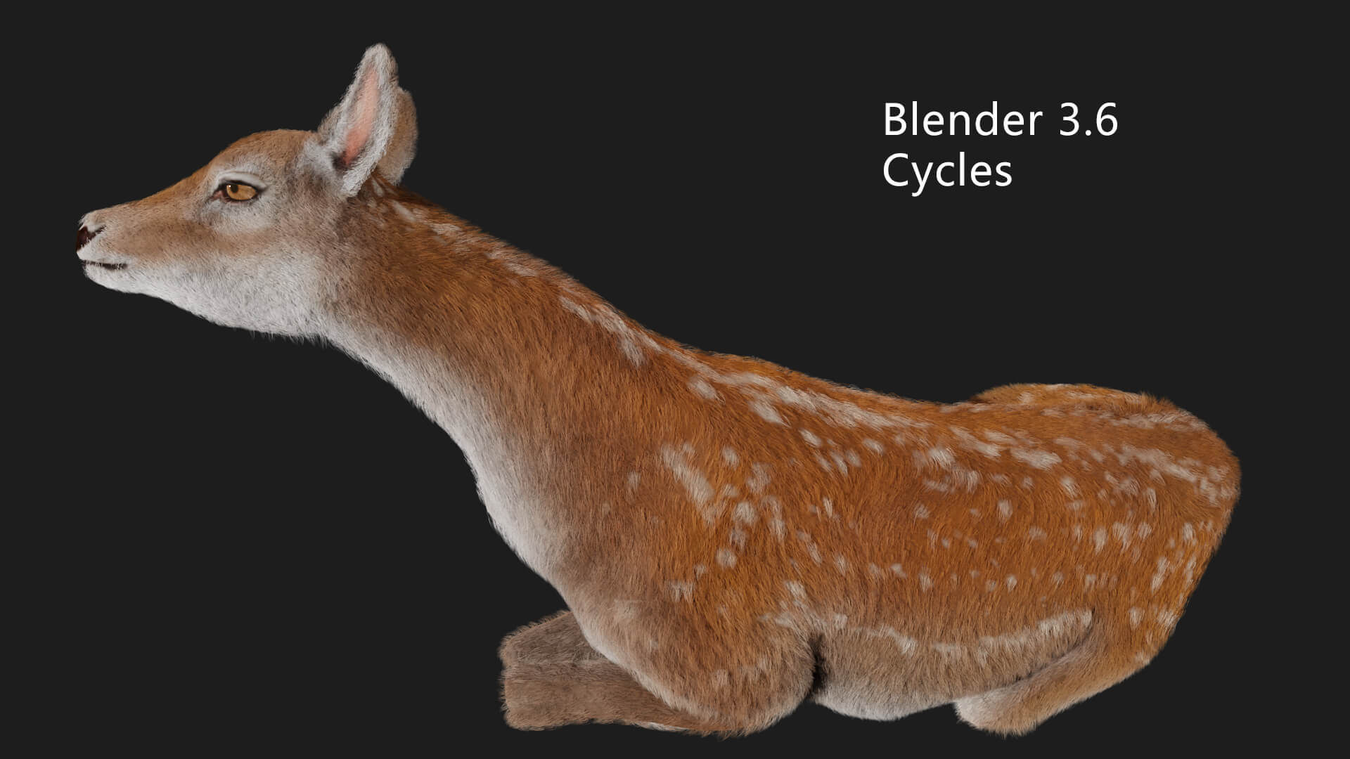 Hair Effect Deer 3D Model