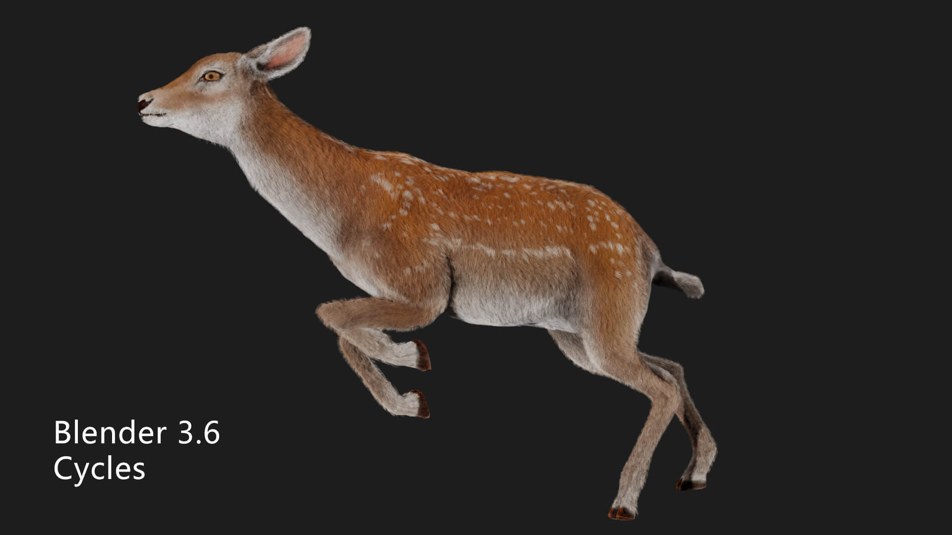 Hair Effect Deer 3D Model