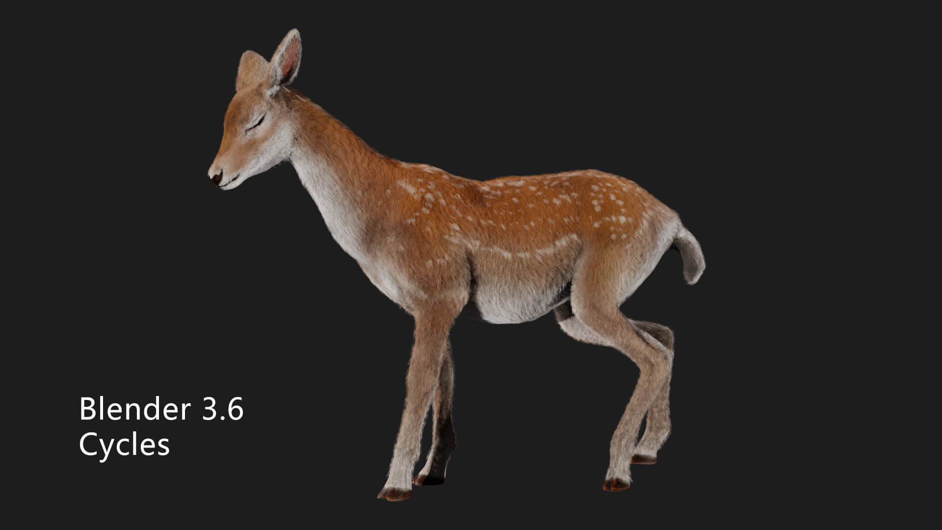 Hair Effect Deer 3D Model