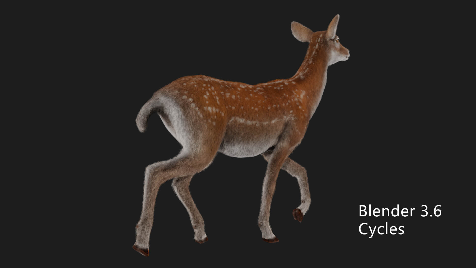 Hair Effect Deer 3D Model