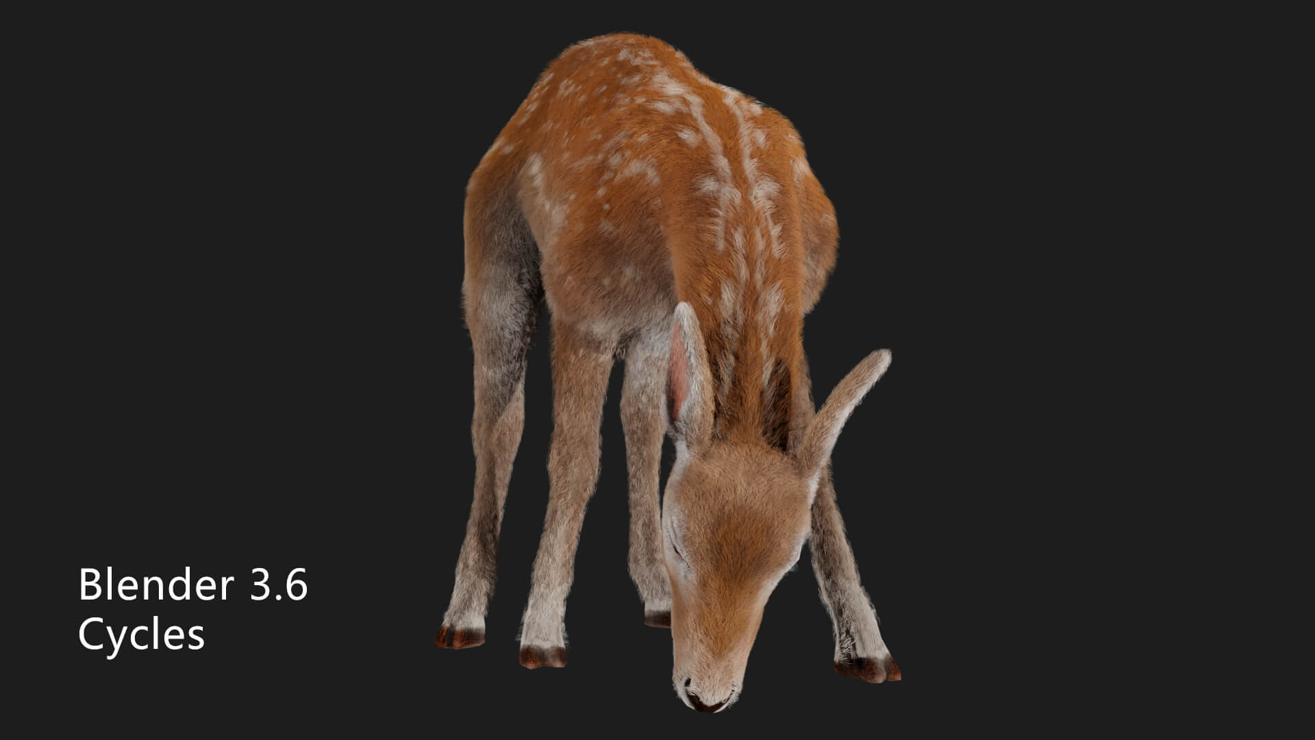 Hair Effect Deer 3D Model