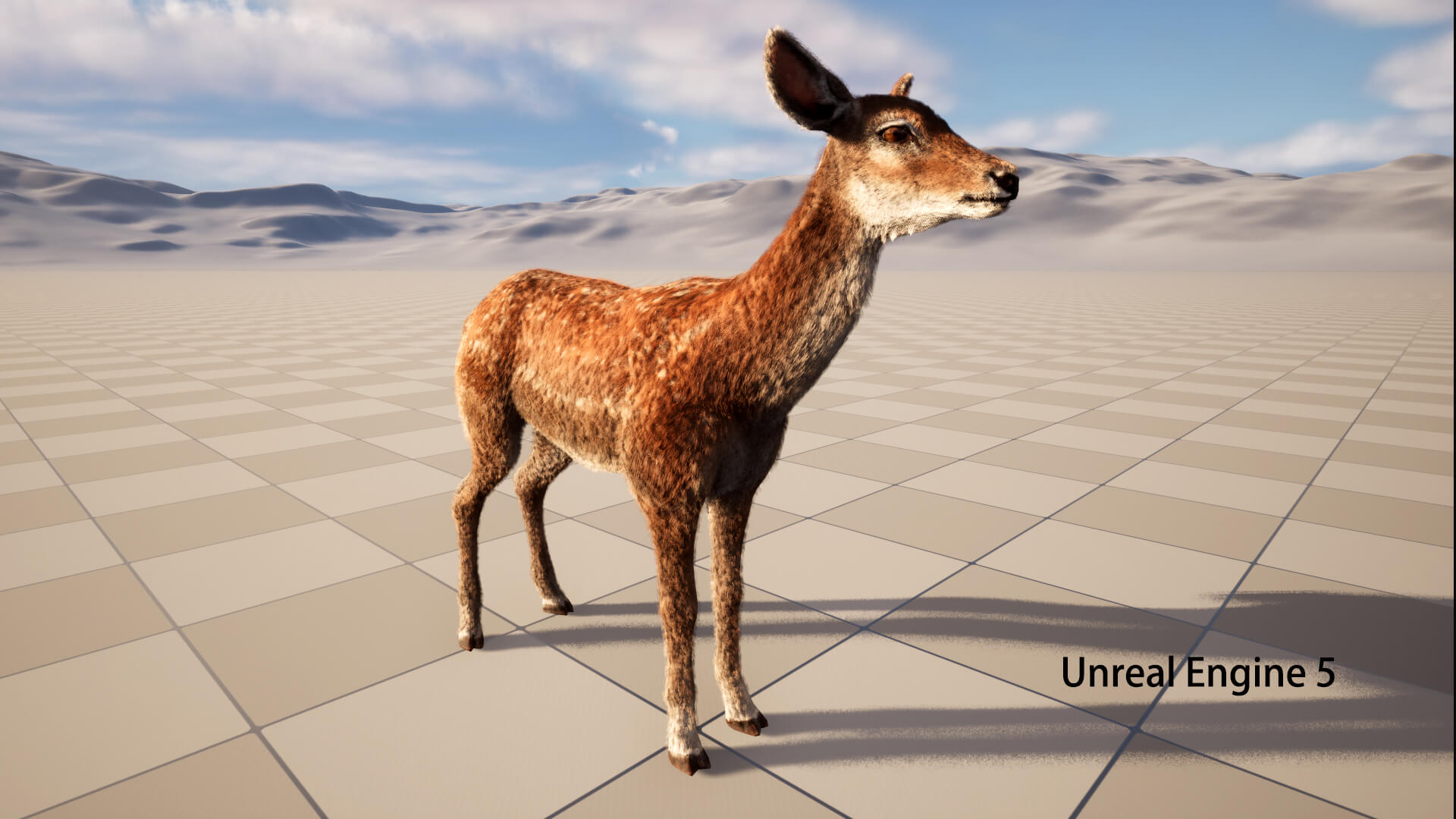 Hair Effect Deer 3D Model
