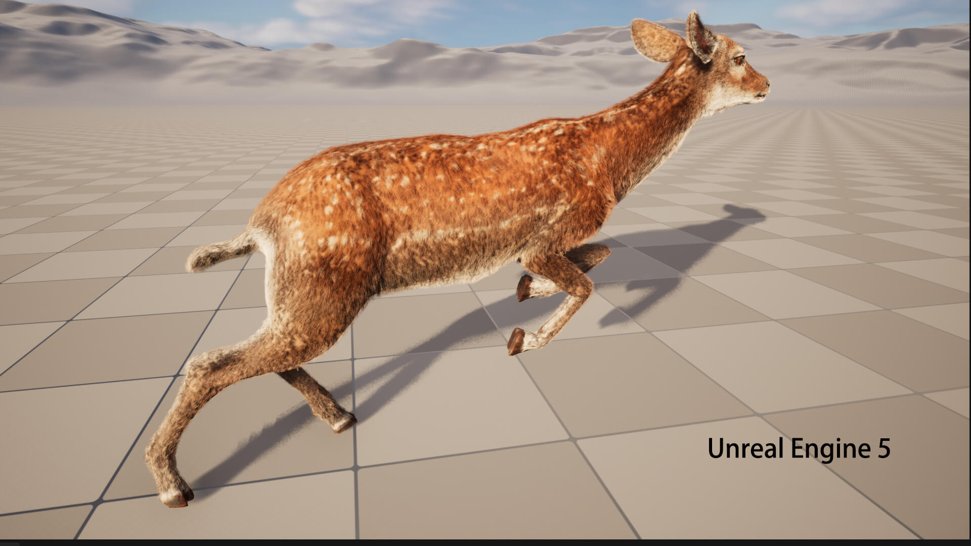 Hair Effect Deer 3D Model