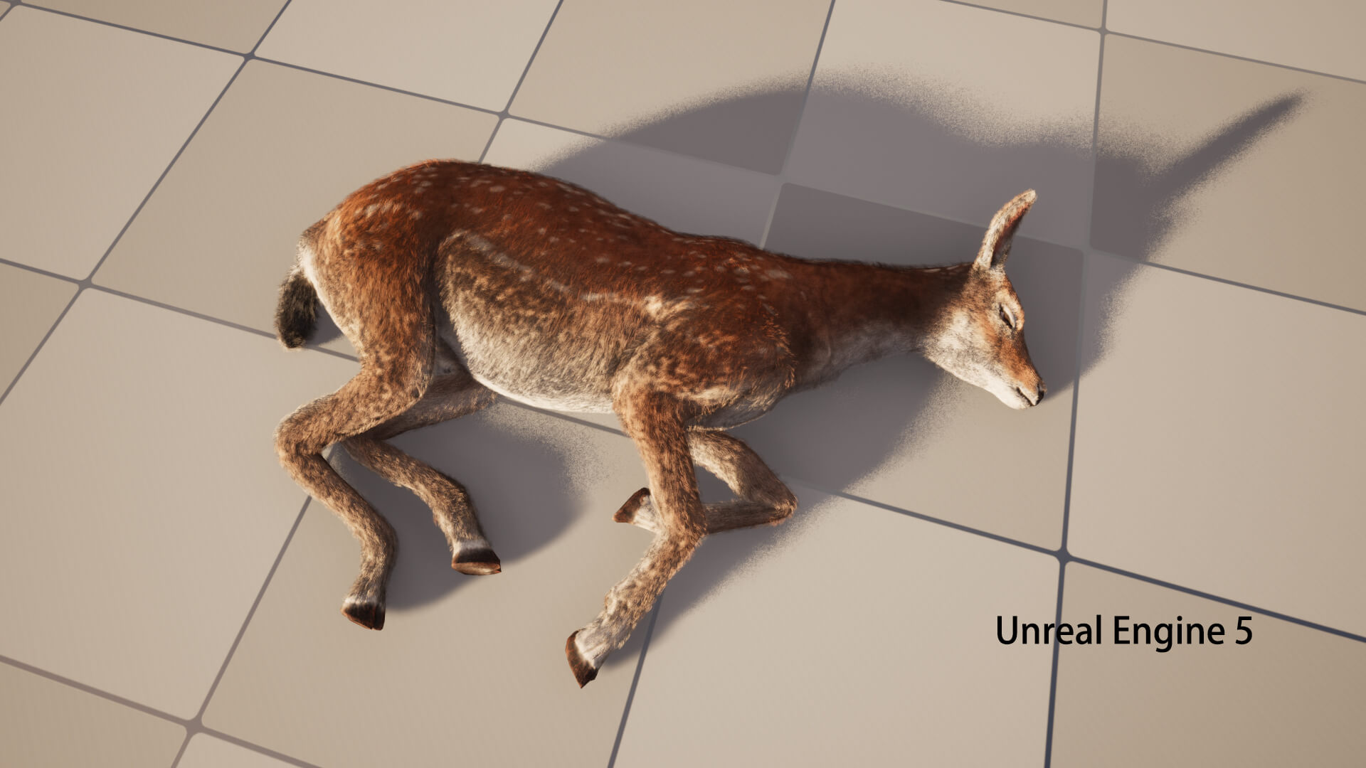 Hair Effect Deer 3D Model