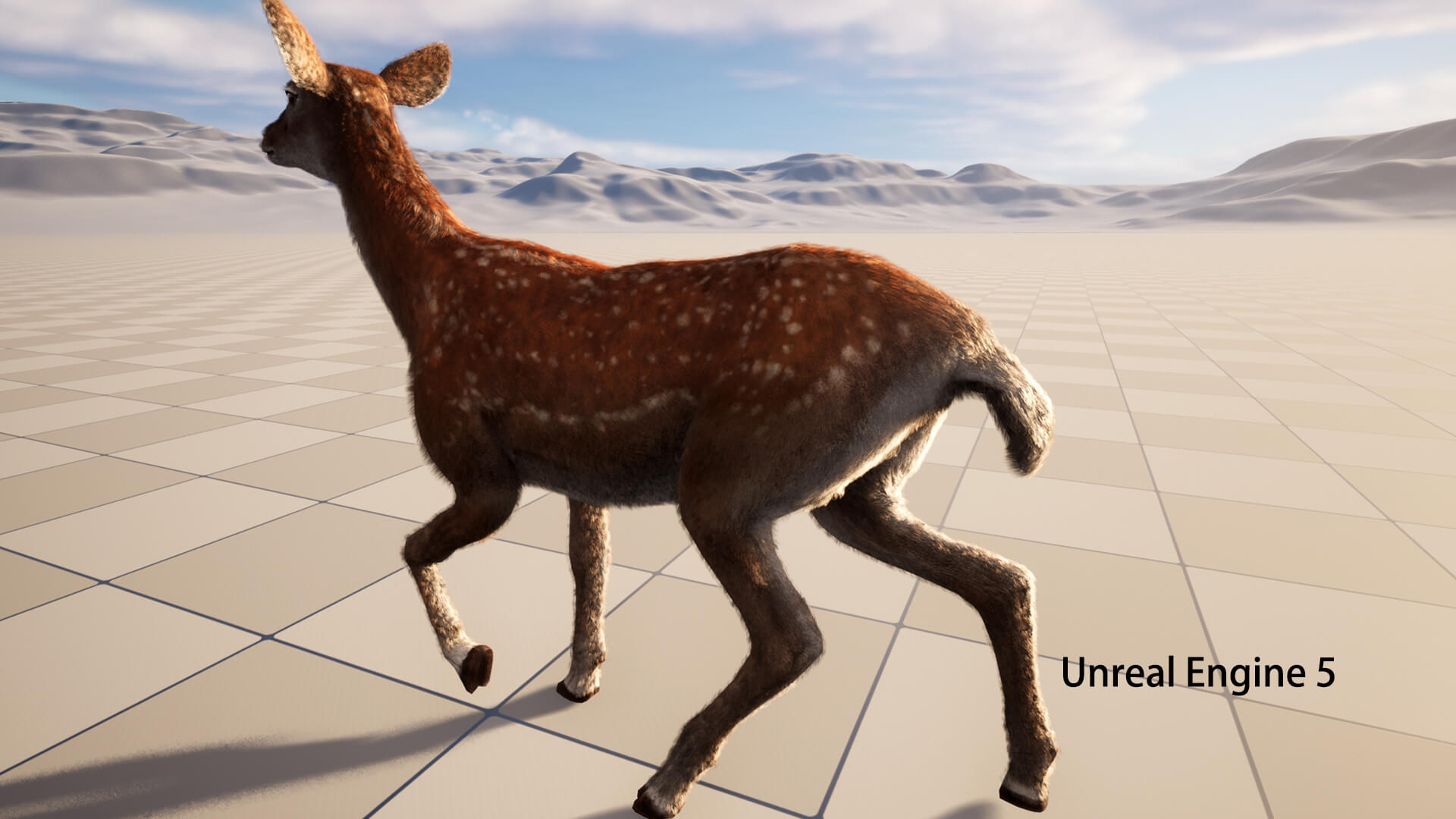 Hair Effect Deer 3D Model