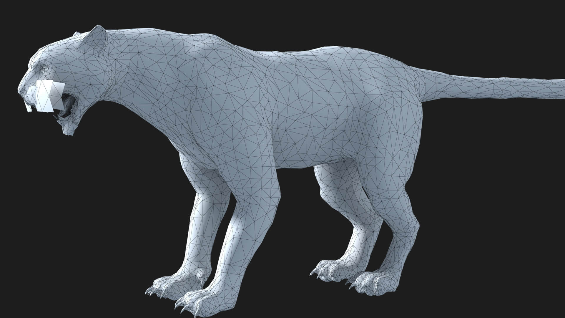 Leopard Panther Puma Jaguar 3D Model