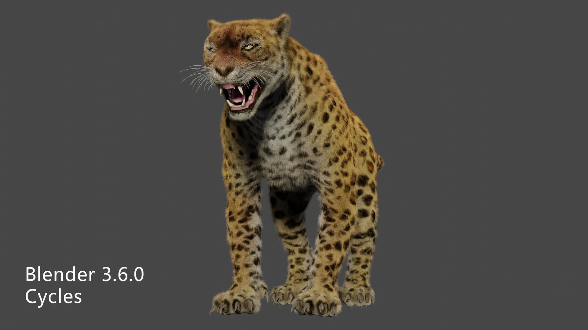 Leopard Panther Puma Jaguar 3D Model