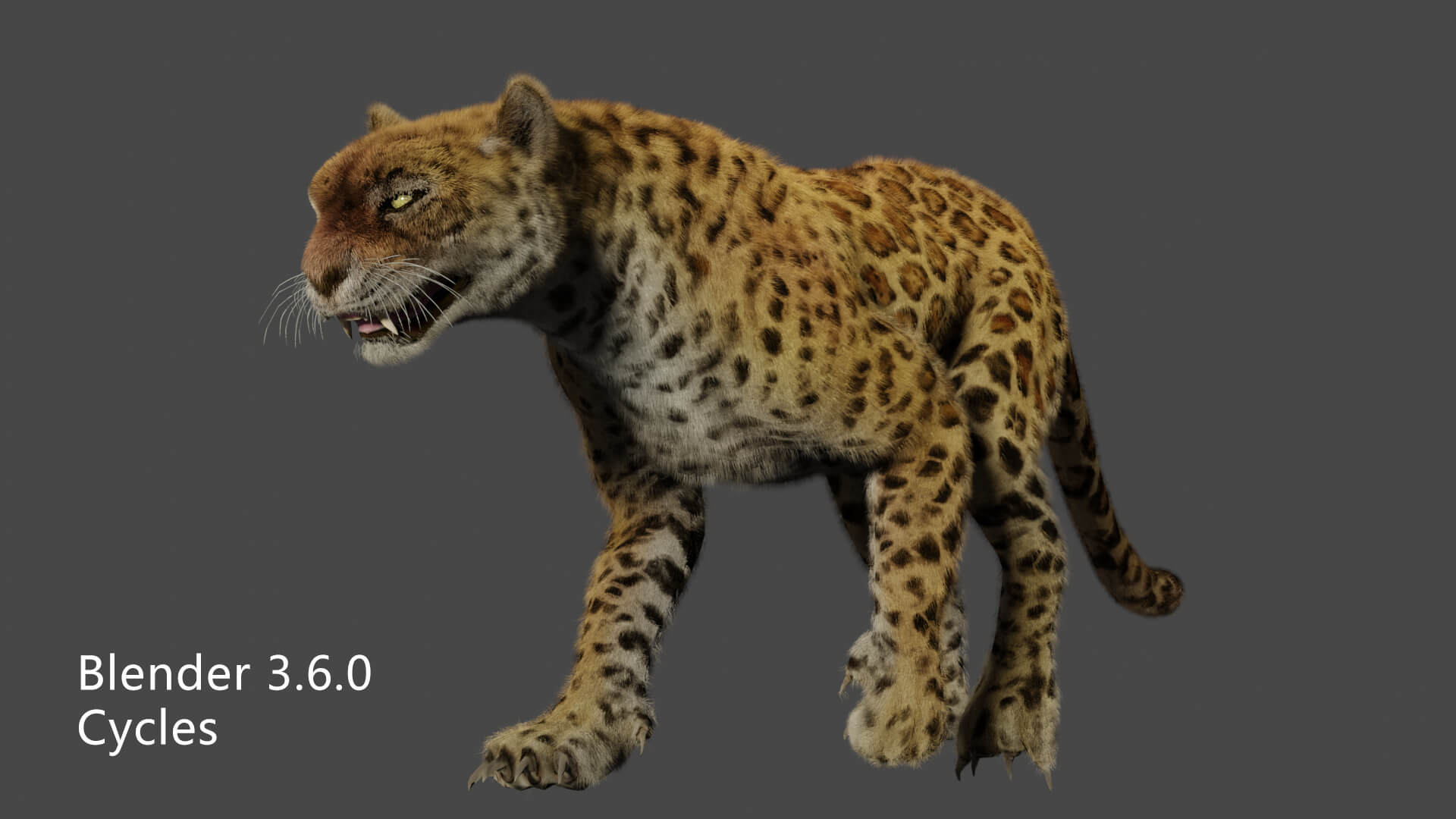 Leopard Panther Puma Jaguar 3D Model