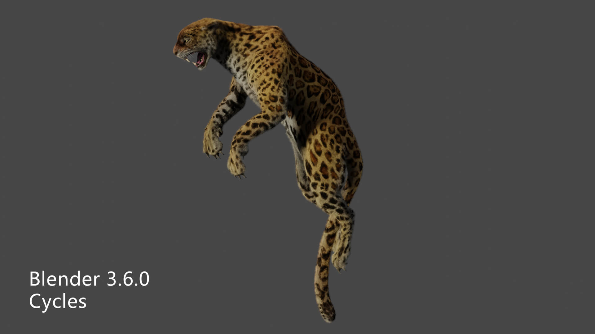 Leopard Panther Puma Jaguar 3D Model