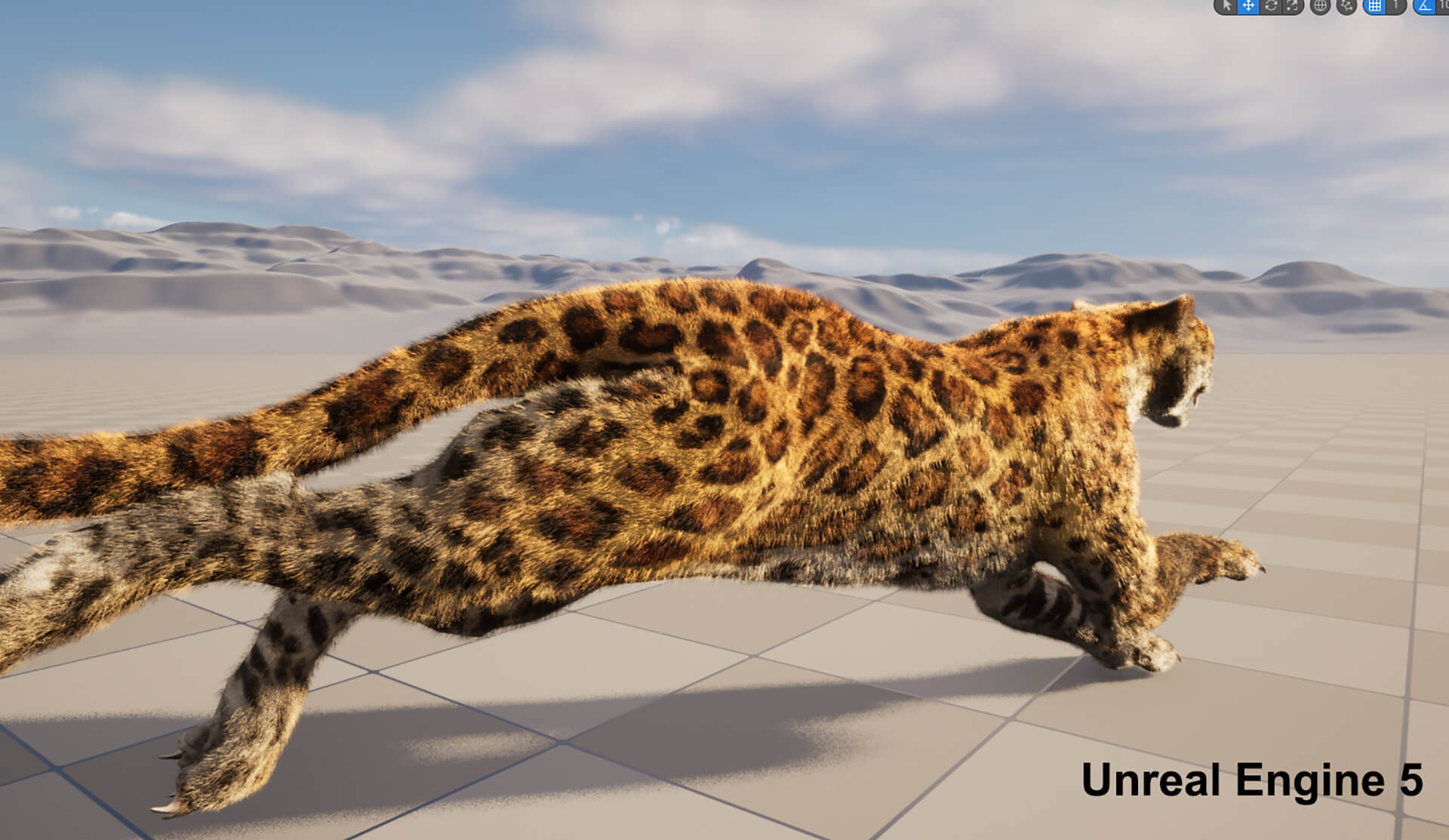 Leopard Panther Puma Jaguar 3D Model