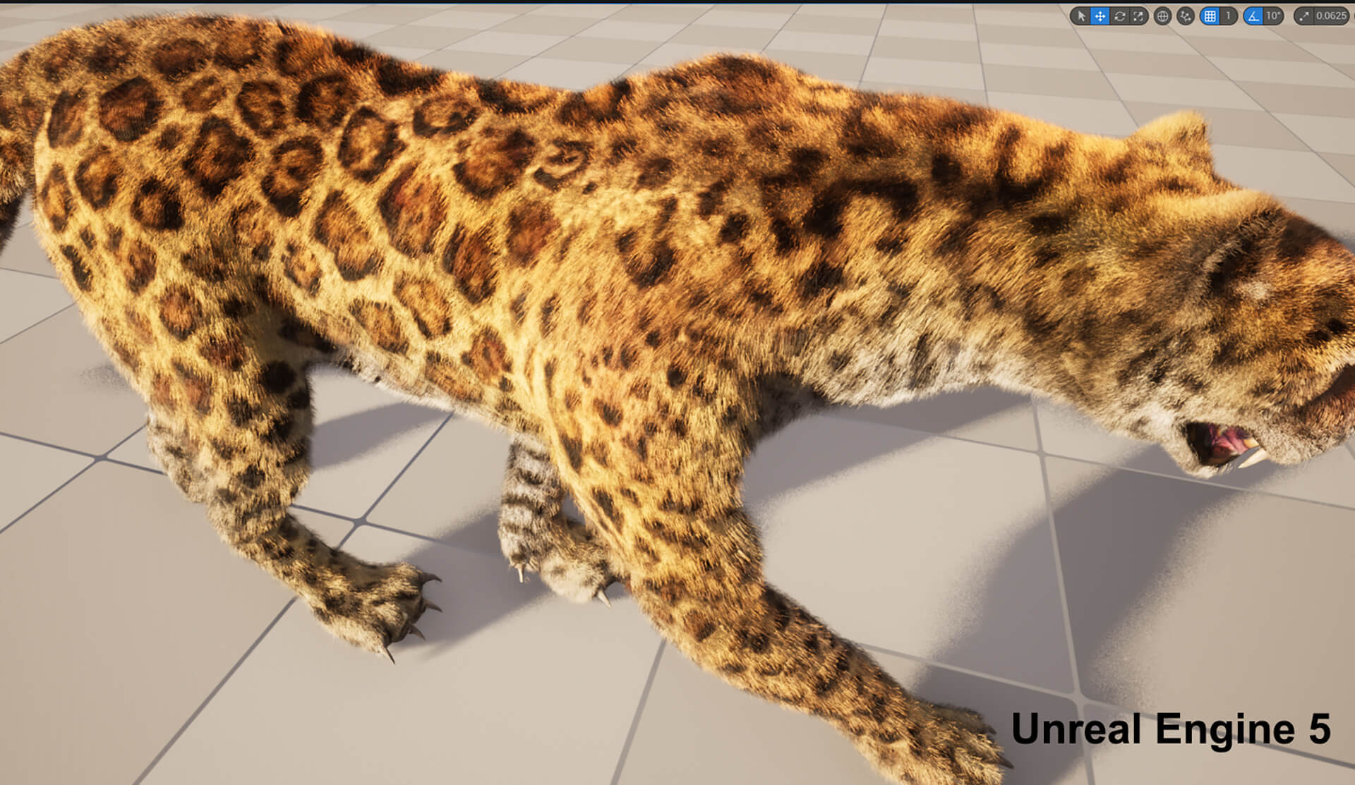Leopard Panther Puma Jaguar 3D Model