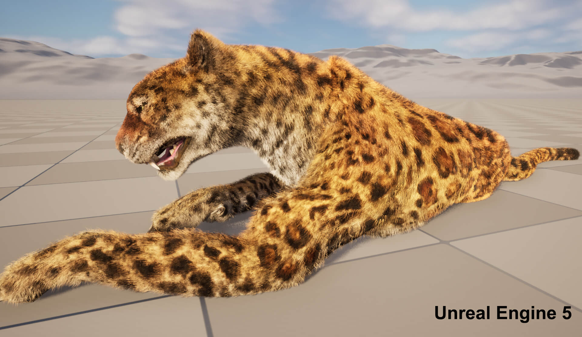 Leopard Panther Puma Jaguar 3D Model