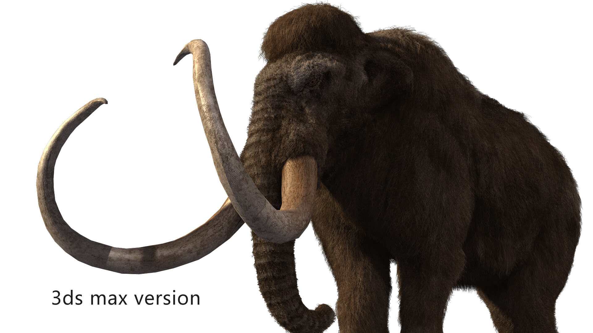 Mammoth Elephant 3D Model