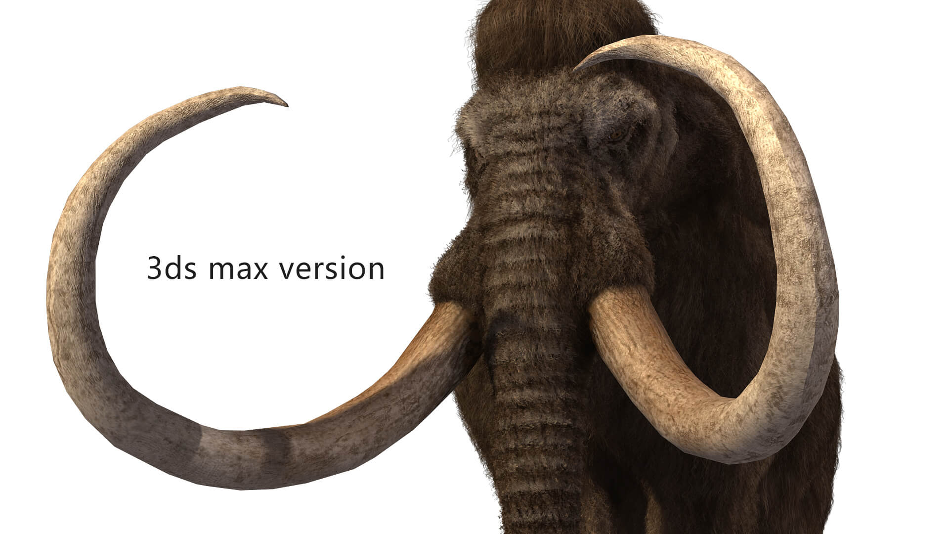 Mammoth Elephant 3D Model