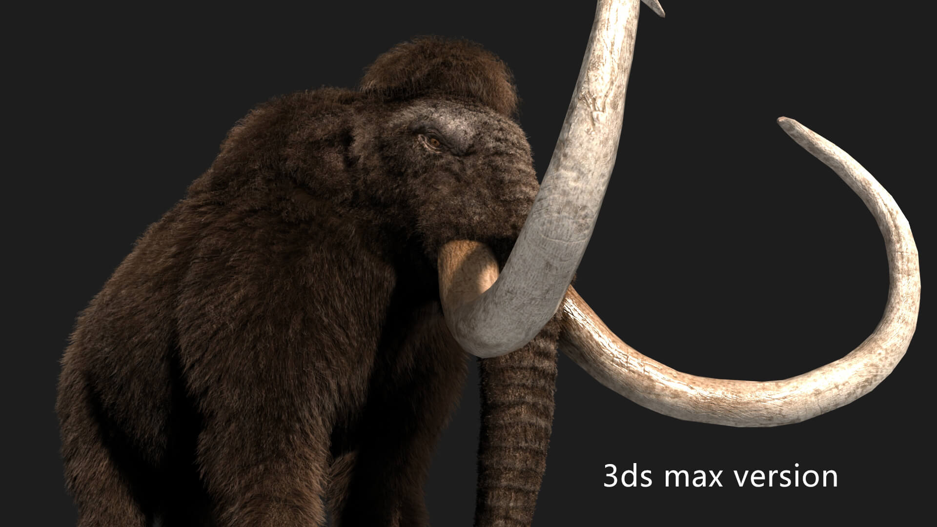 Mammoth Elephant 3D Model