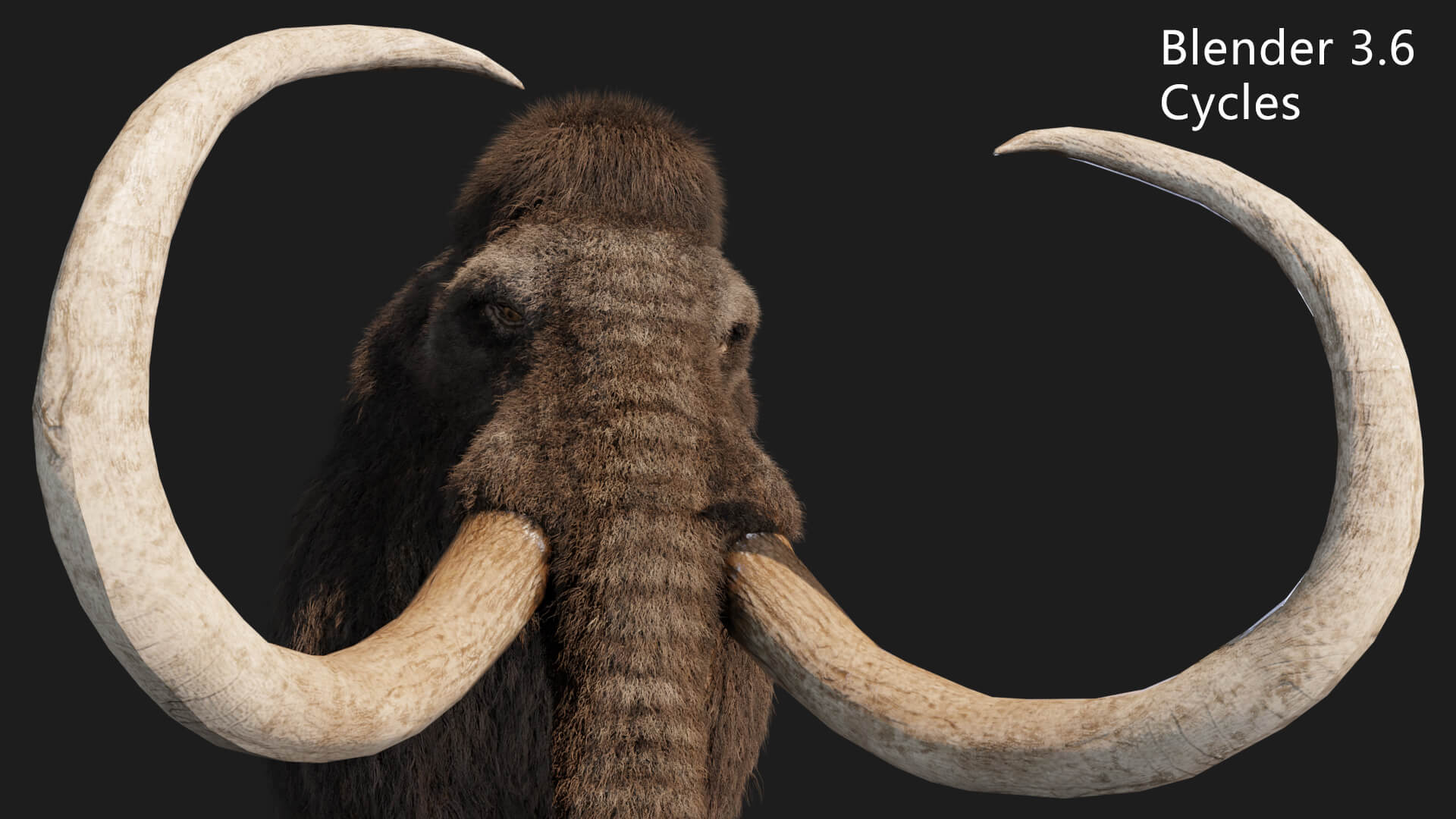 Mammoth Elephant 3D Model