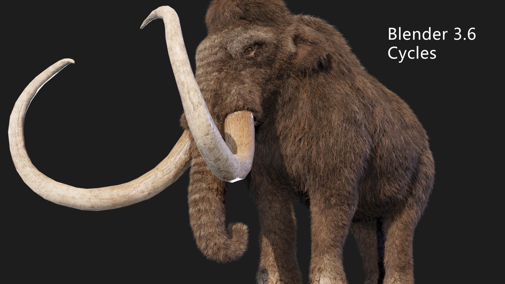 Mammoth Elephant 3D Model