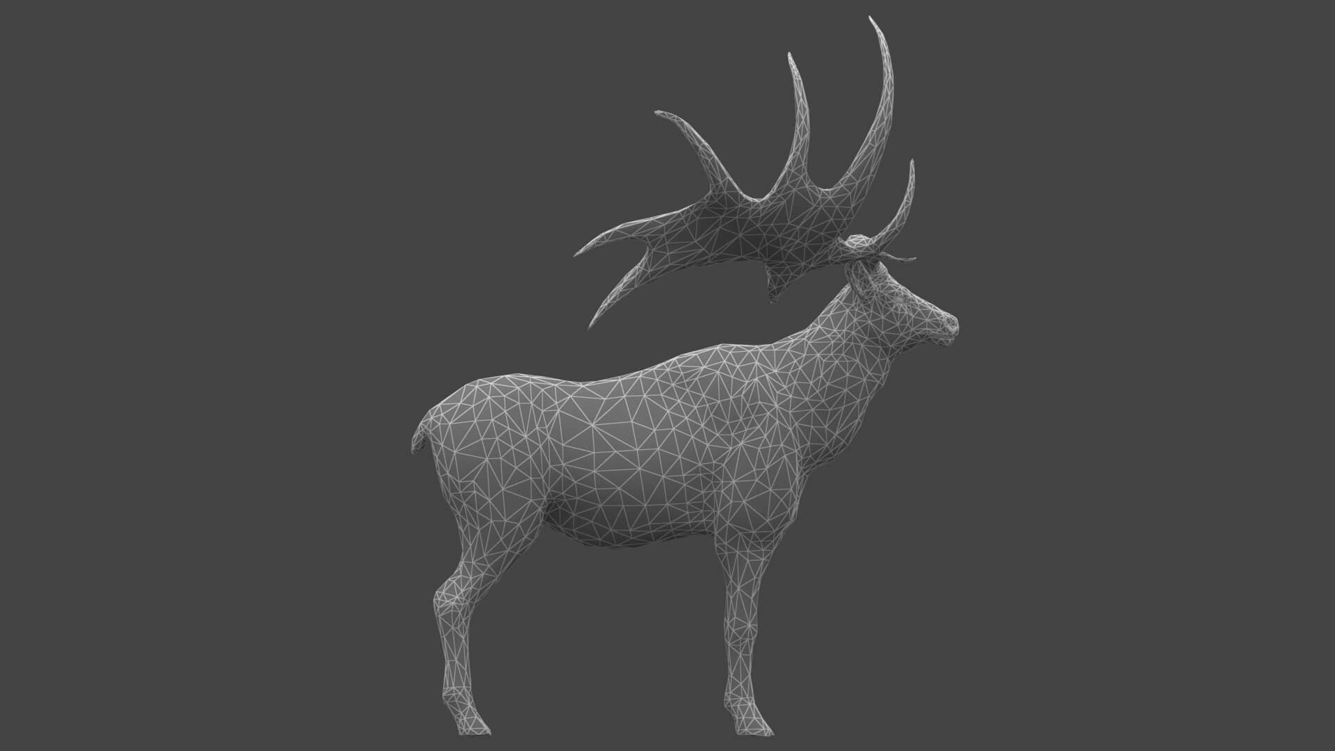 Megaloceros Elk Deer Moose 3D Model