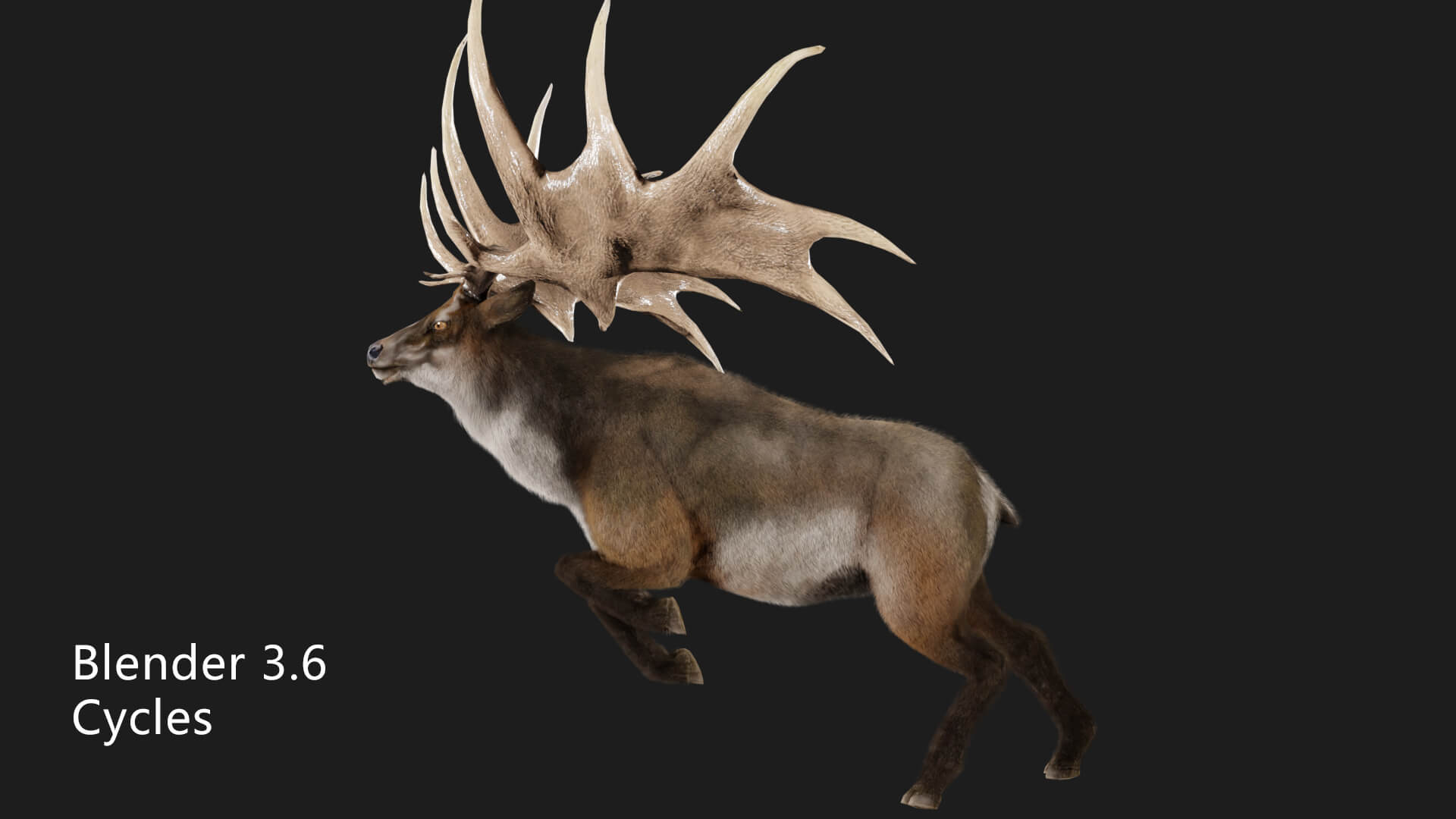 Megaloceros Elk Deer Moose 3D Model