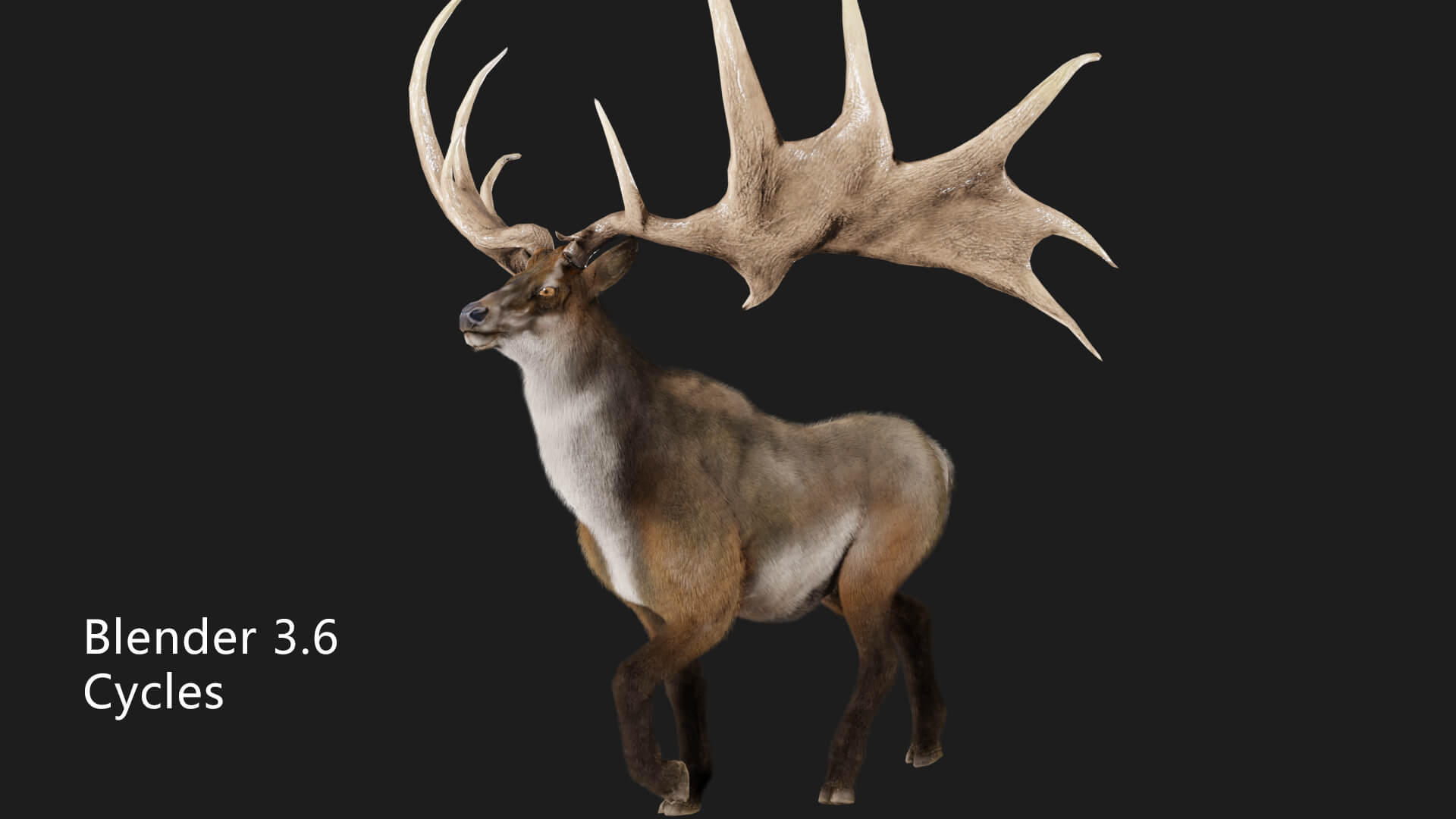 Megaloceros Elk Deer Moose 3D Model
