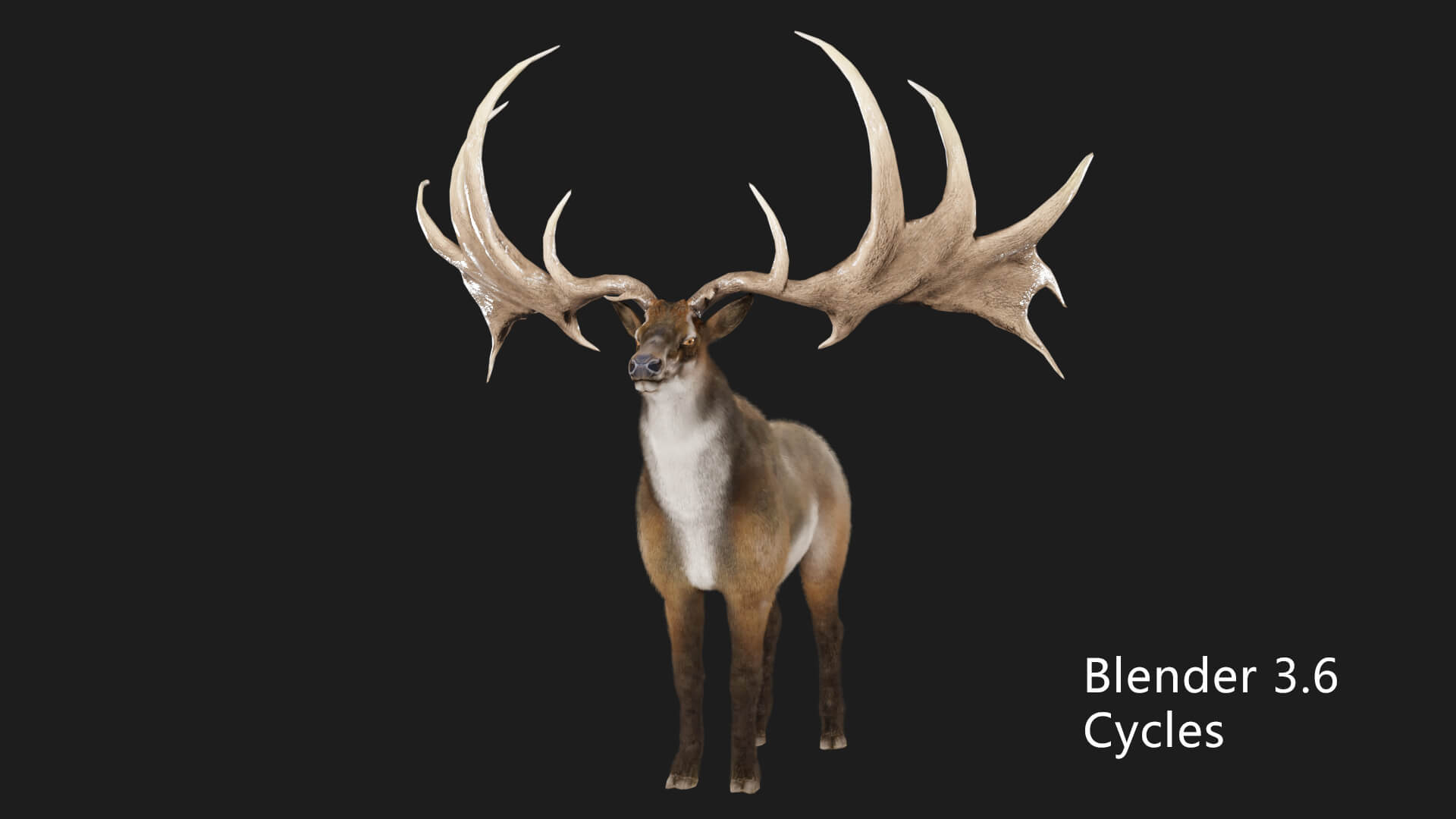 Megaloceros Elk Deer Moose 3D Model