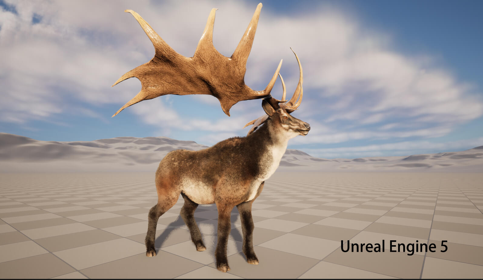 Megaloceros Elk Deer Moose 3D Model
