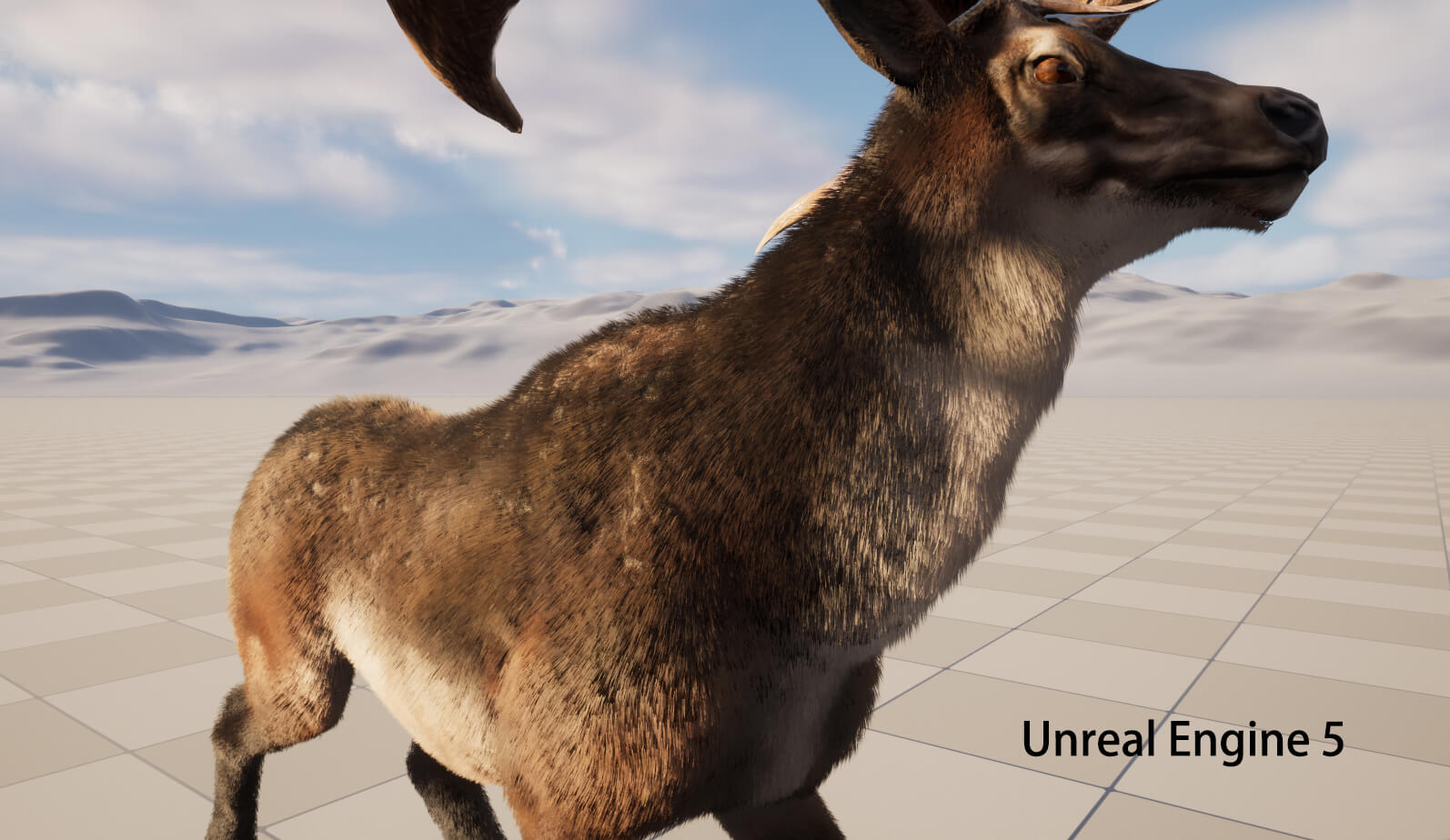 Megaloceros Elk Deer Moose 3D Model