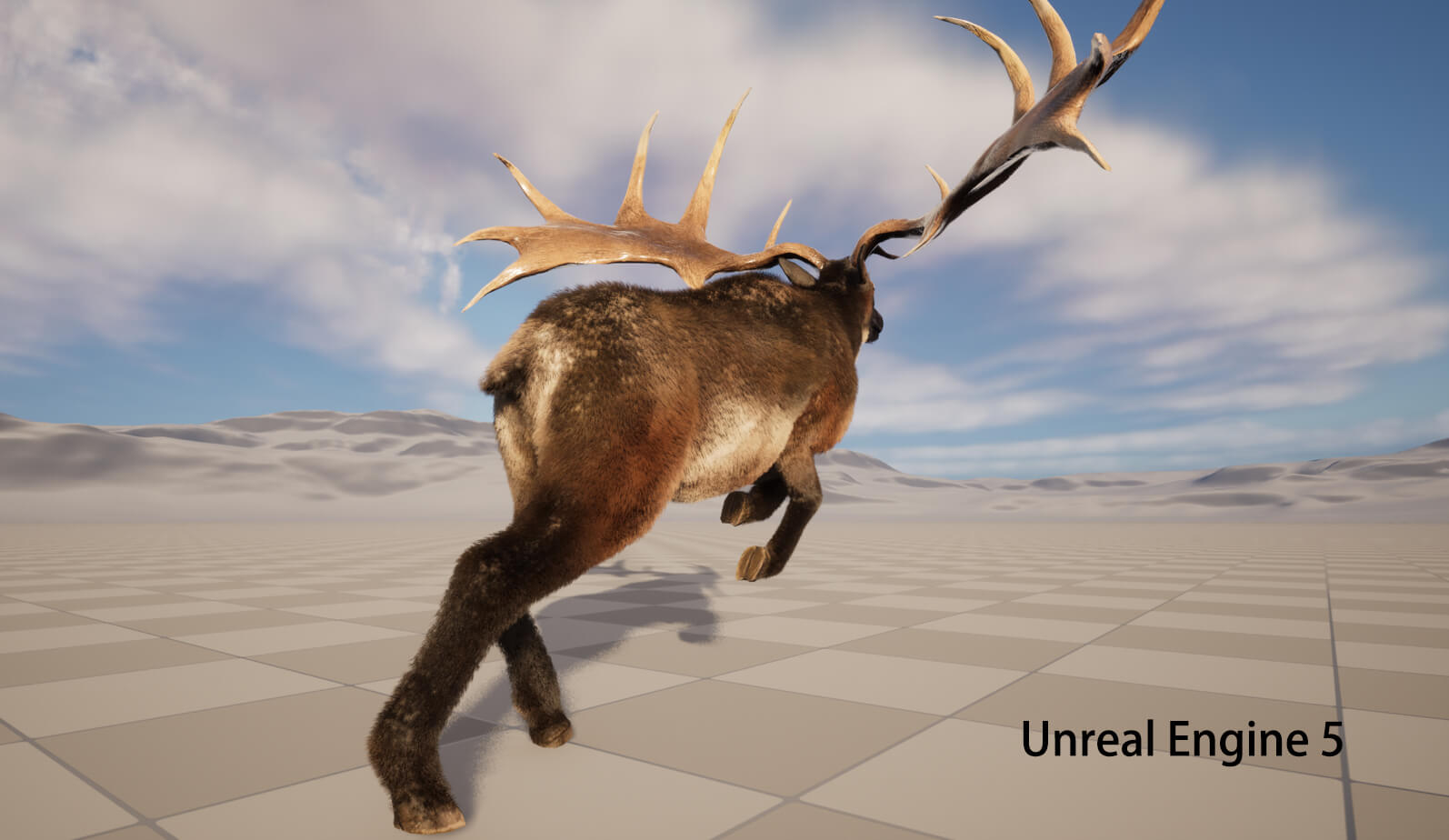 Megaloceros Elk Deer Moose 3D Model