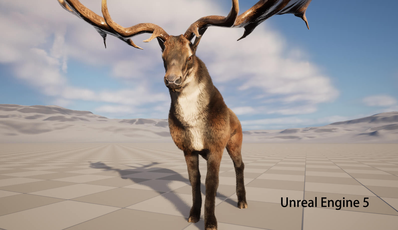 Megaloceros Elk Deer Moose 3D Model