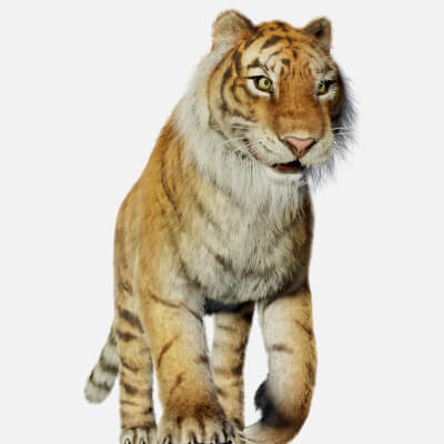 Rigged Tiger Wild Cat Beast