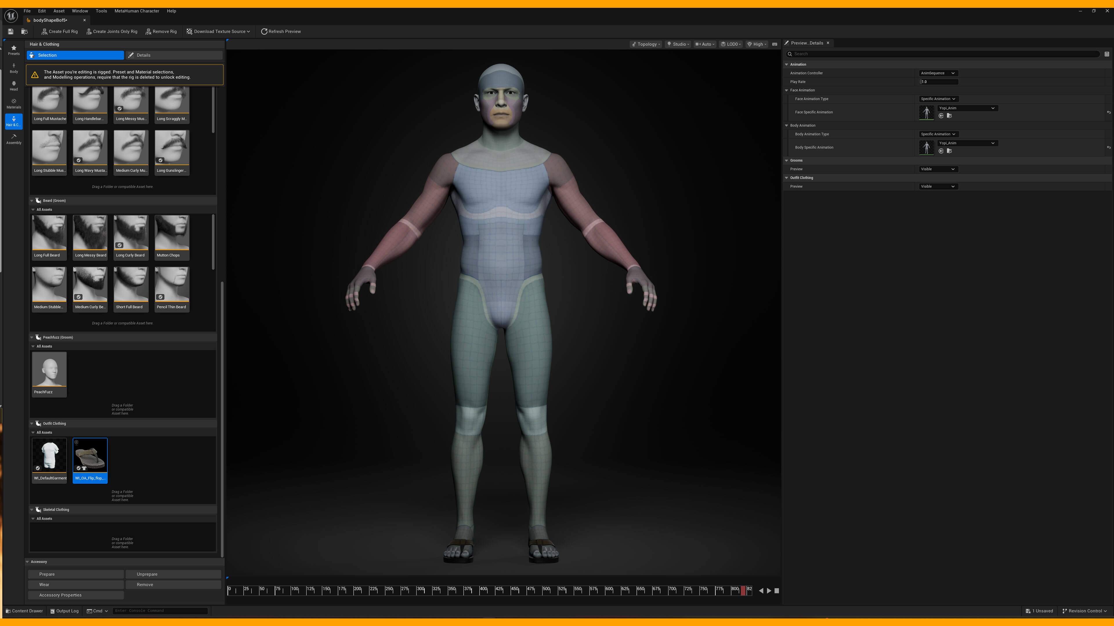 Flip Flop 001 or MetaHuman MhPkg 3D Model