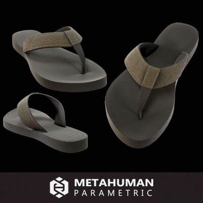 Flip Flop 001 or MetaHuman MhPkg