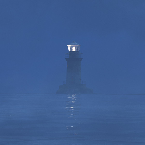 Fogged In