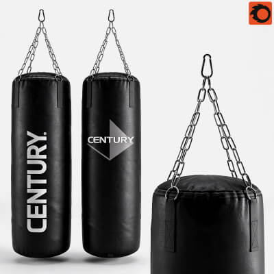 Century Punching Bag Set 3D Model Boxing Training Heavy Bag