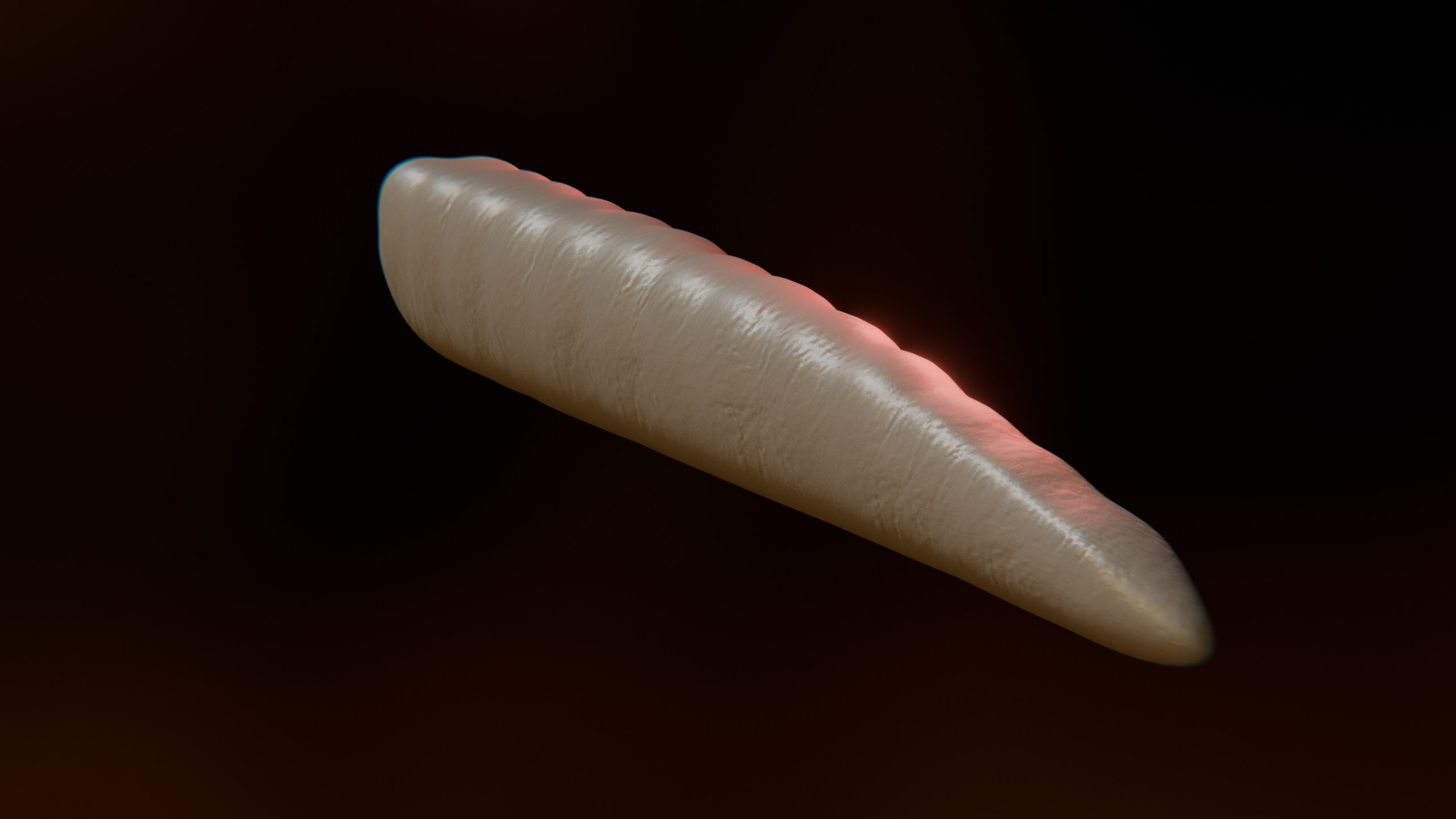 Cursed Worm Blender Model 3D Model